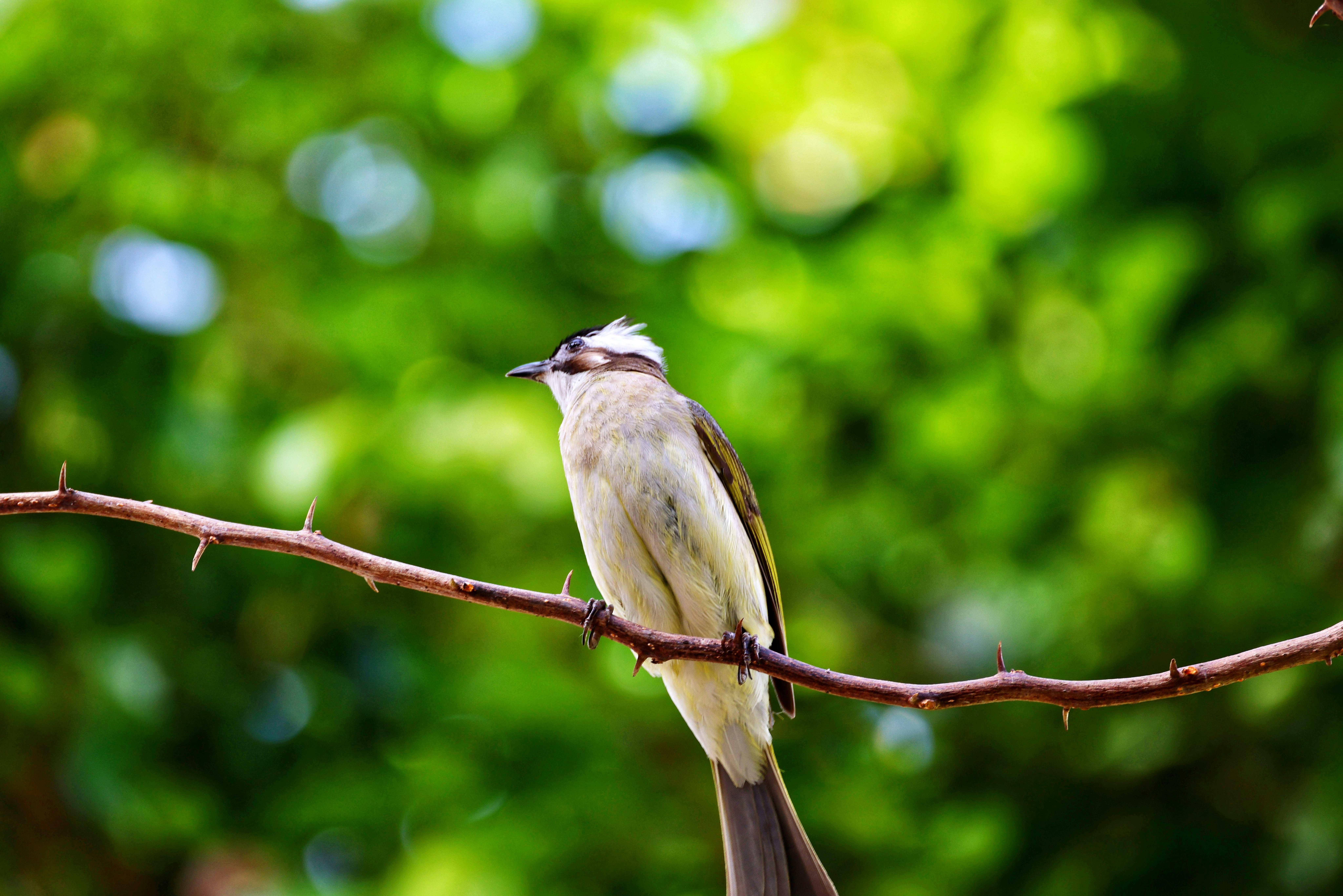 Photo by dickenslin76