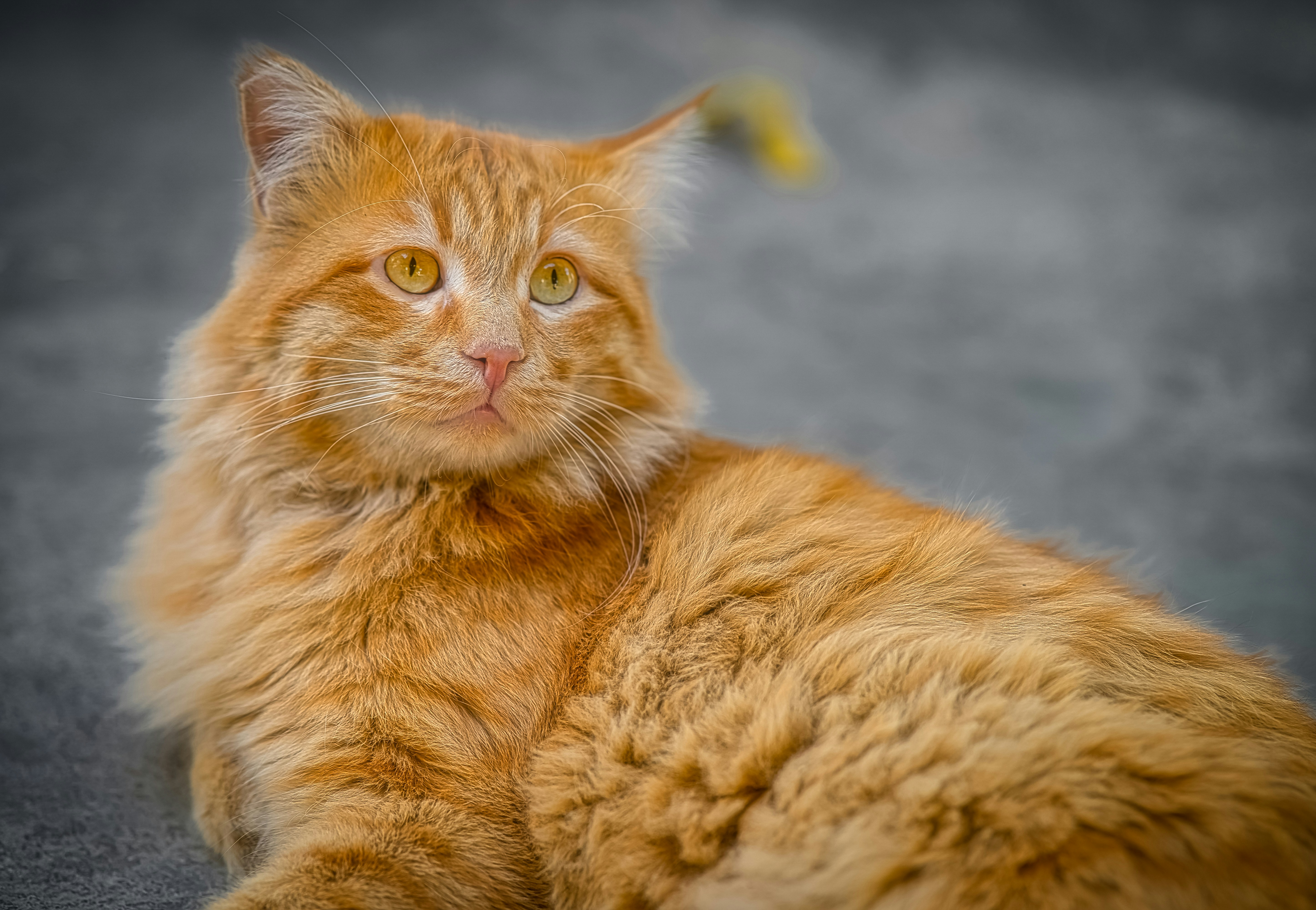 Photo by akbarnemati