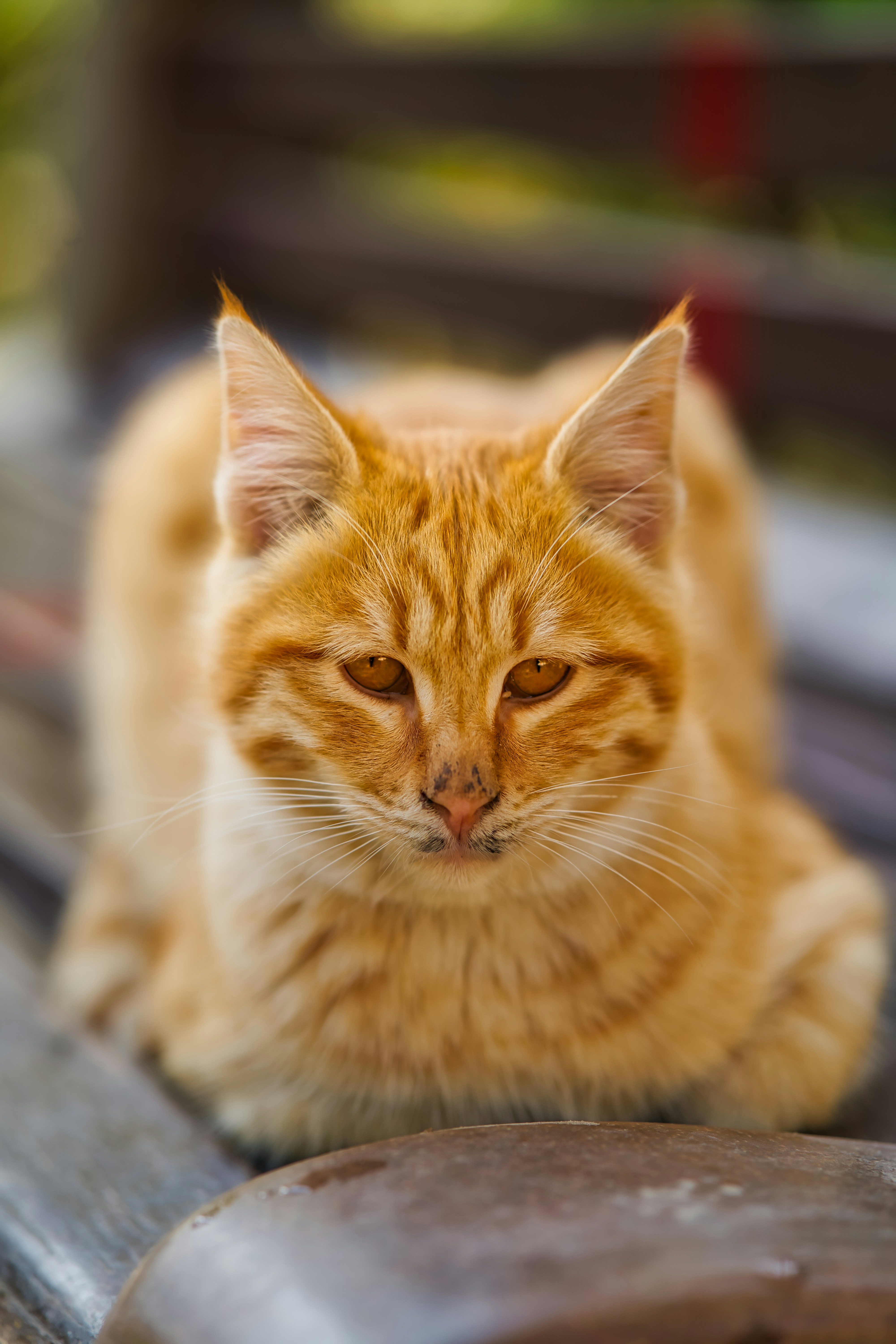 Photo by akbarnemati