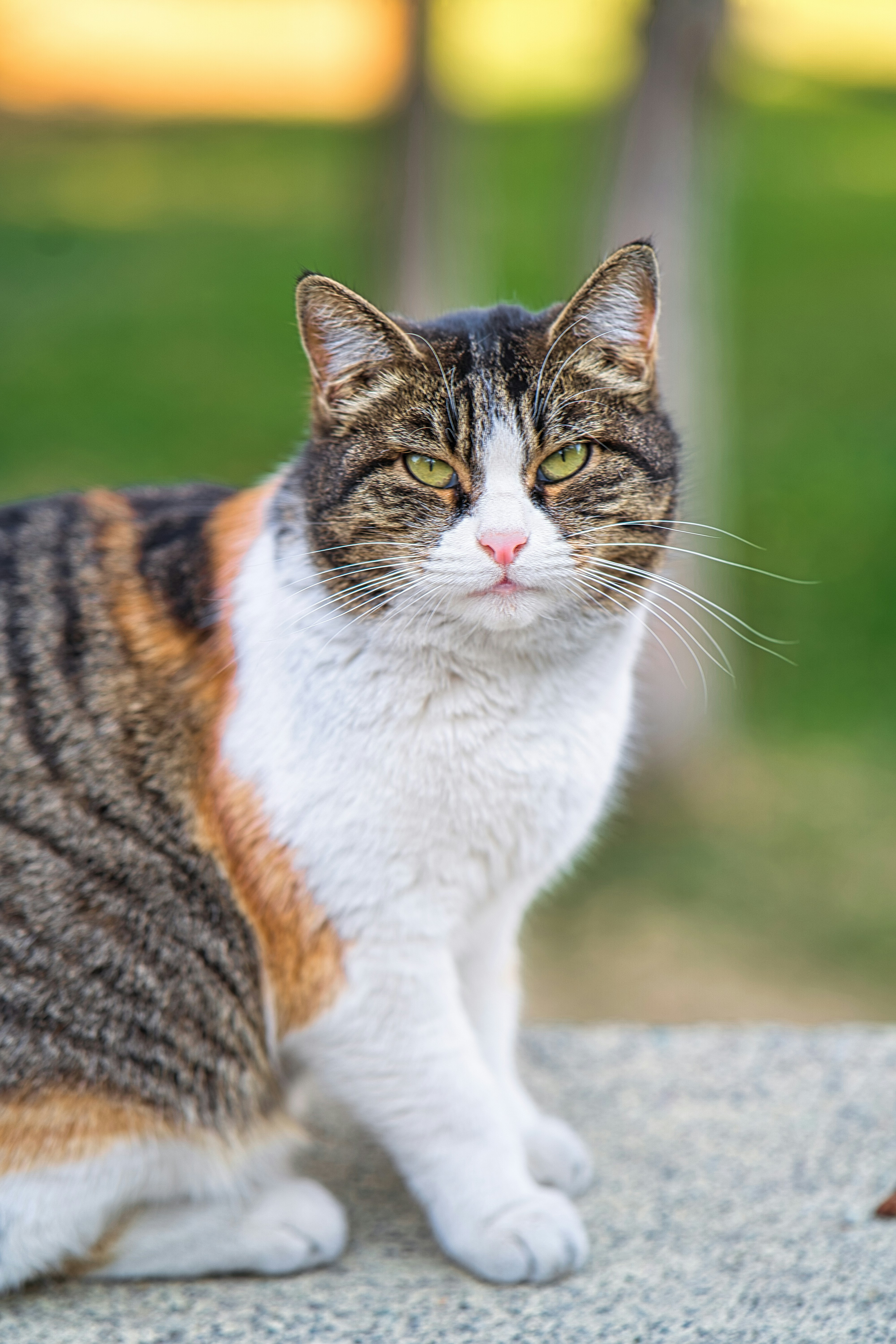 Photo by akbarnemati