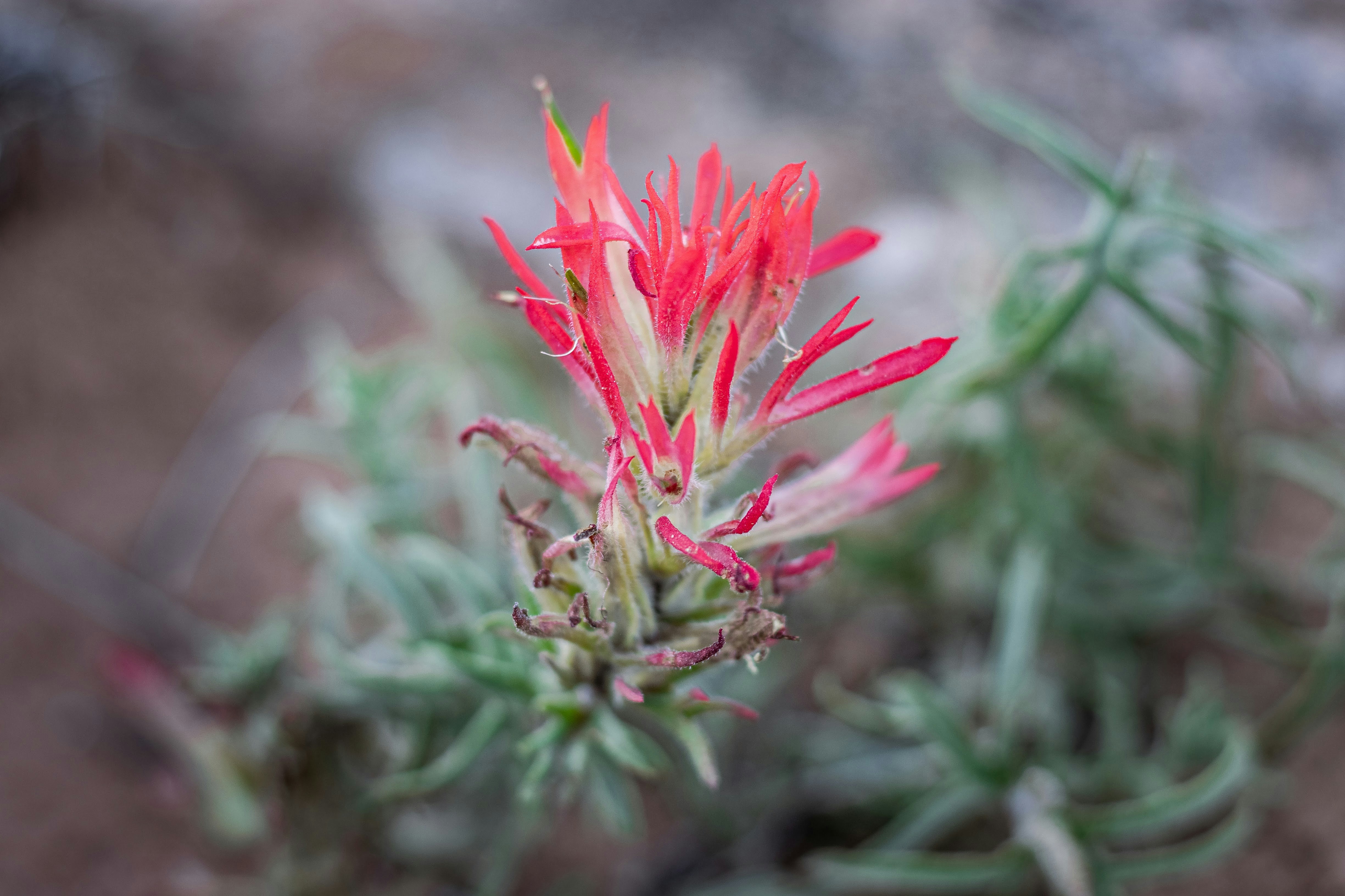 Photo by brice_cooper18