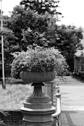 A black and white photo featuring a large stone planter filled with lush foliage and flowering plants. The planter sits atop an ornate pedestal at the edge of a pathway, with a backdrop of dense trees and a glimpse of a structure in the distance.