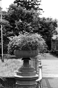 A black and white photo featuring a large stone planter filled with lush foliage and flowering plants. The planter sits atop an ornate pedestal at the edge of a pathway, with a backdrop of dense trees and a glimpse of a structure in the distance.