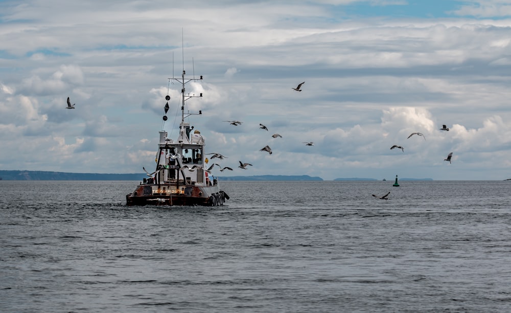 a boat in the middle of the ocean with seagulls flying around