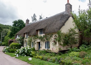 a house with a thatched roof surrounded by greenery