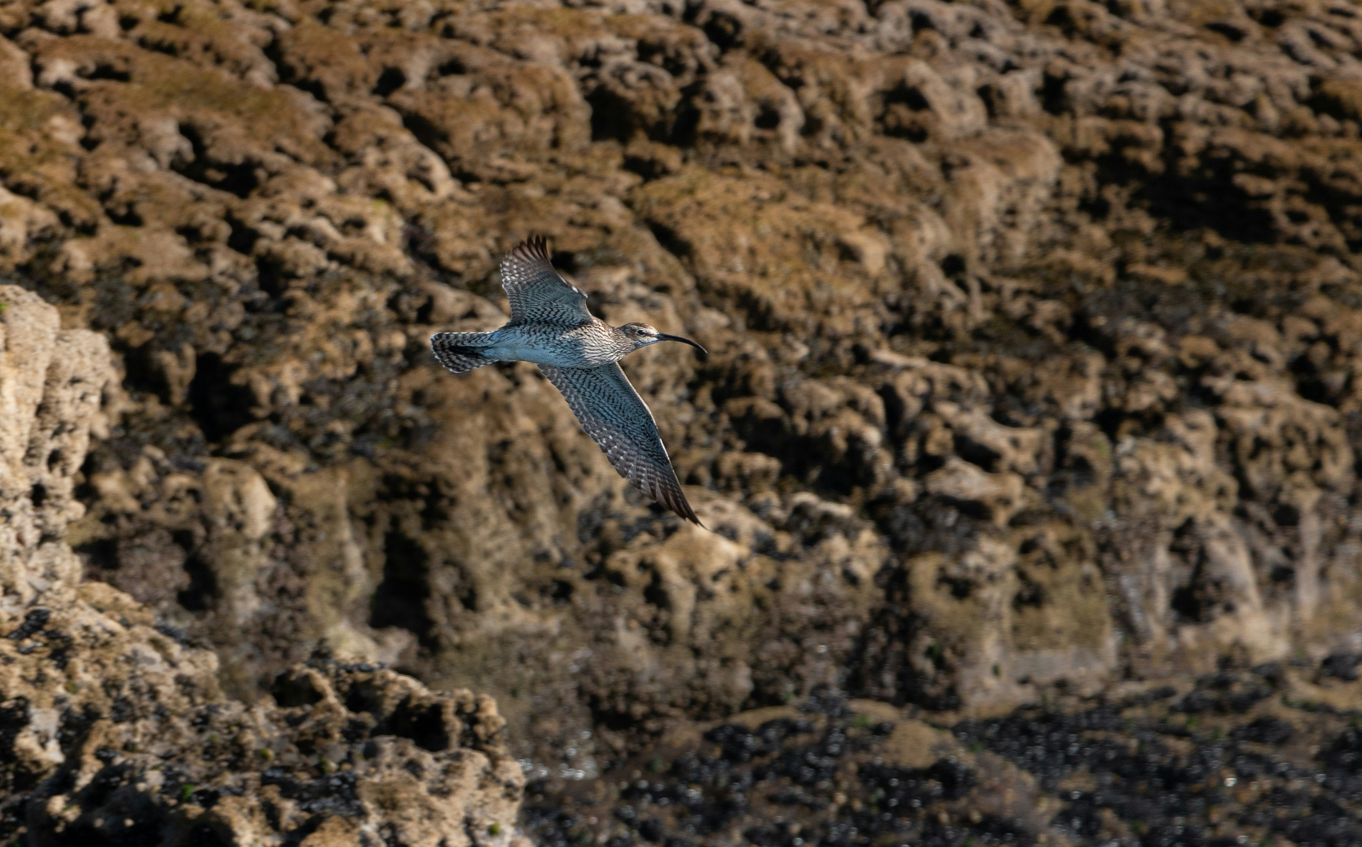 Photo by raymondo600