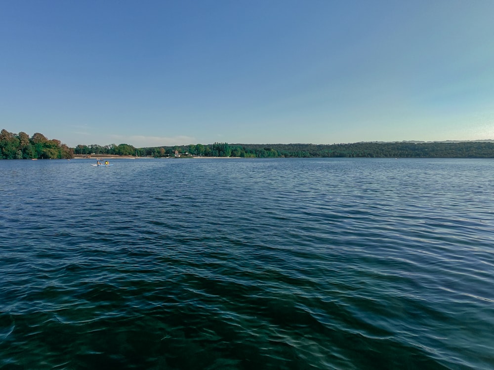 a large body of water with trees in the background