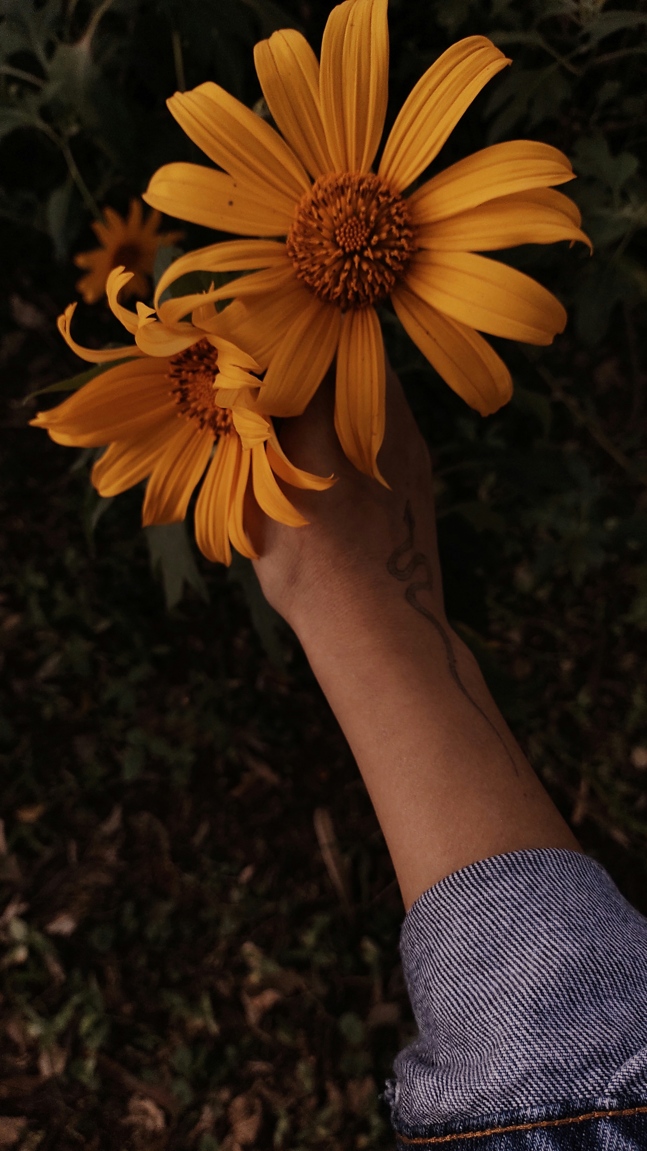 Photo by alinecoill