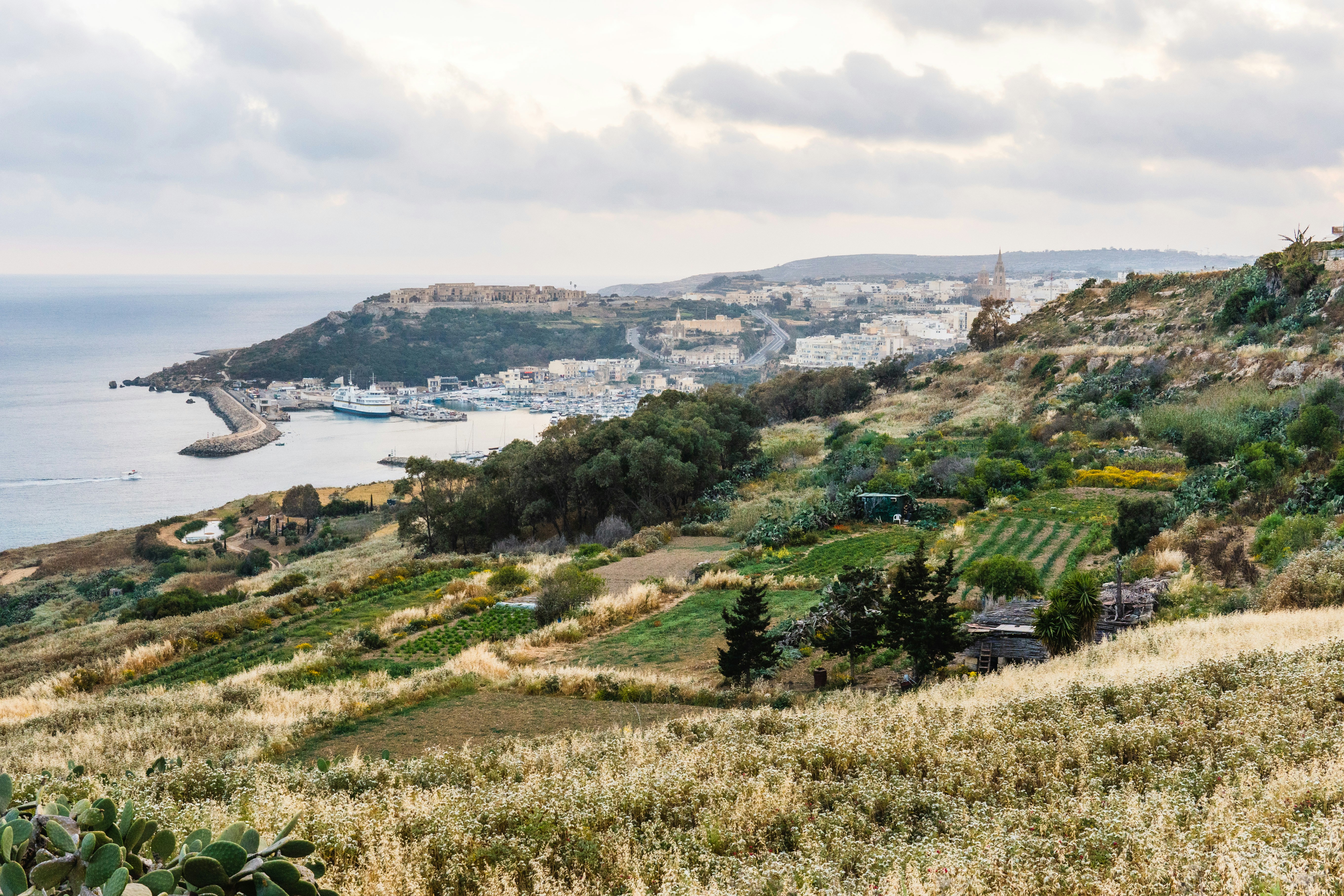 a view of the ocean and a city from a hill