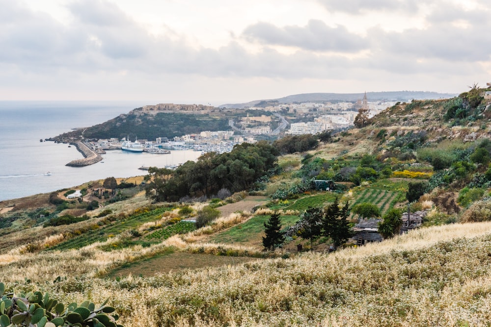 a view of the ocean and a city from a hill