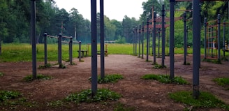 A playground or outdoor exercise area featuring various metal structures, including parallel bars and climbing frameworks, set on a dirt and grassy ground. The background shows lush green trees and bushes, indicating the area is surrounded by nature.
