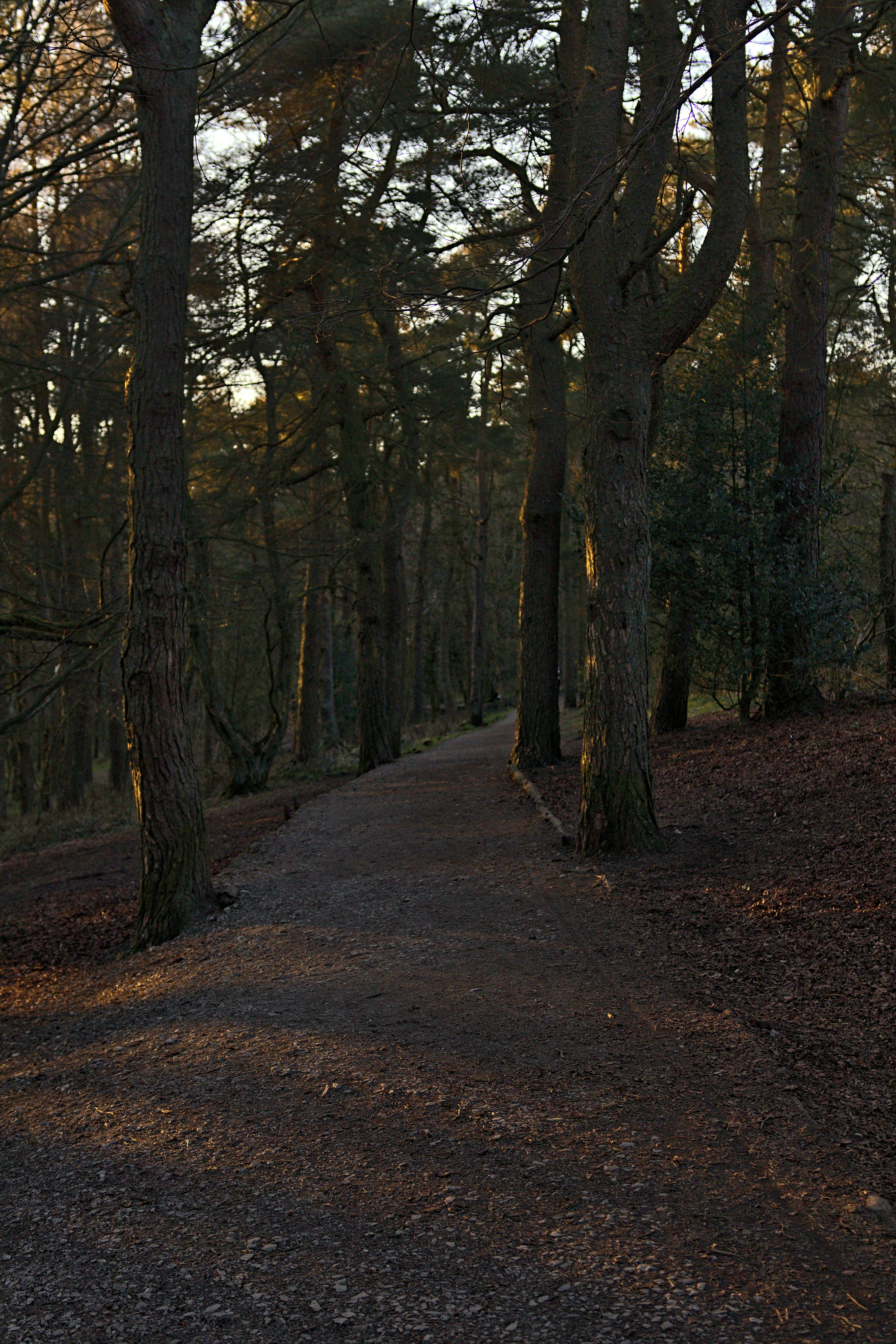 Photo by _asimrehman