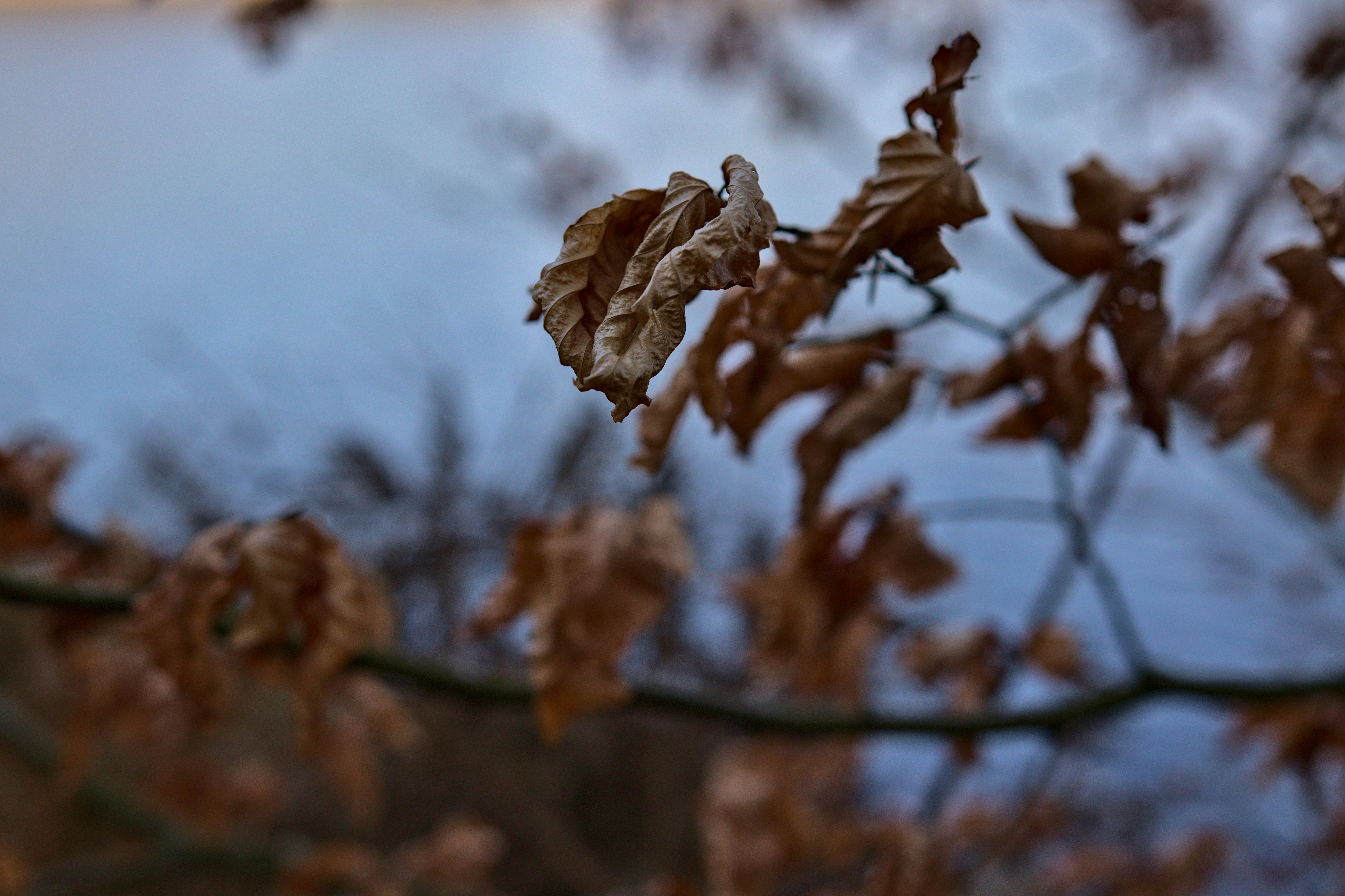 Photo by _asimrehman