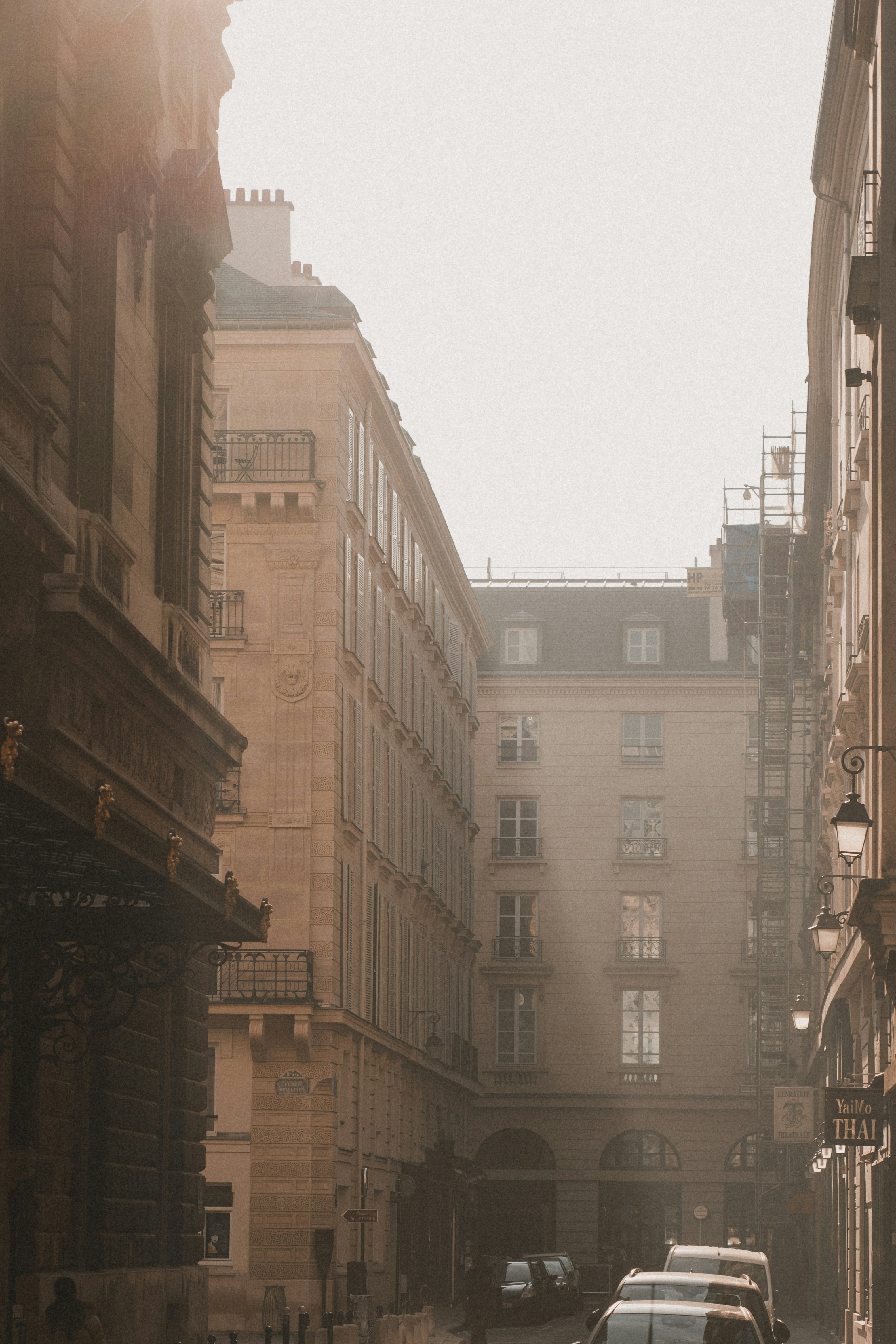 Photo by real_jansen