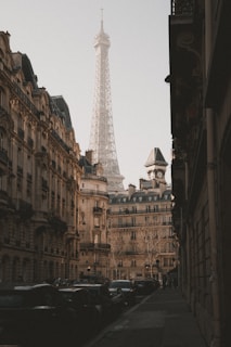 the eiffel tower towering over the city of paris