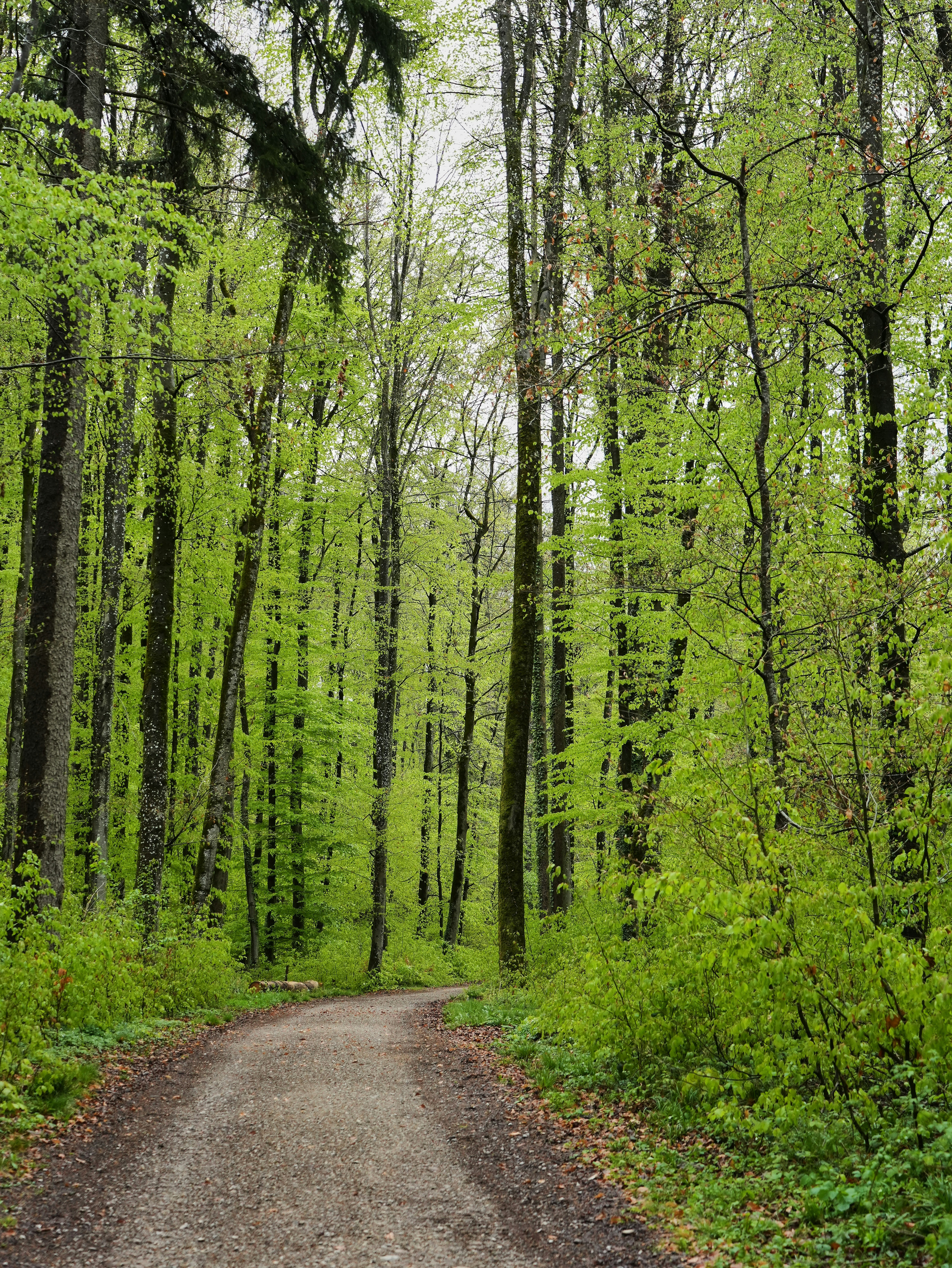 Photo by wolfgang_hasselmann