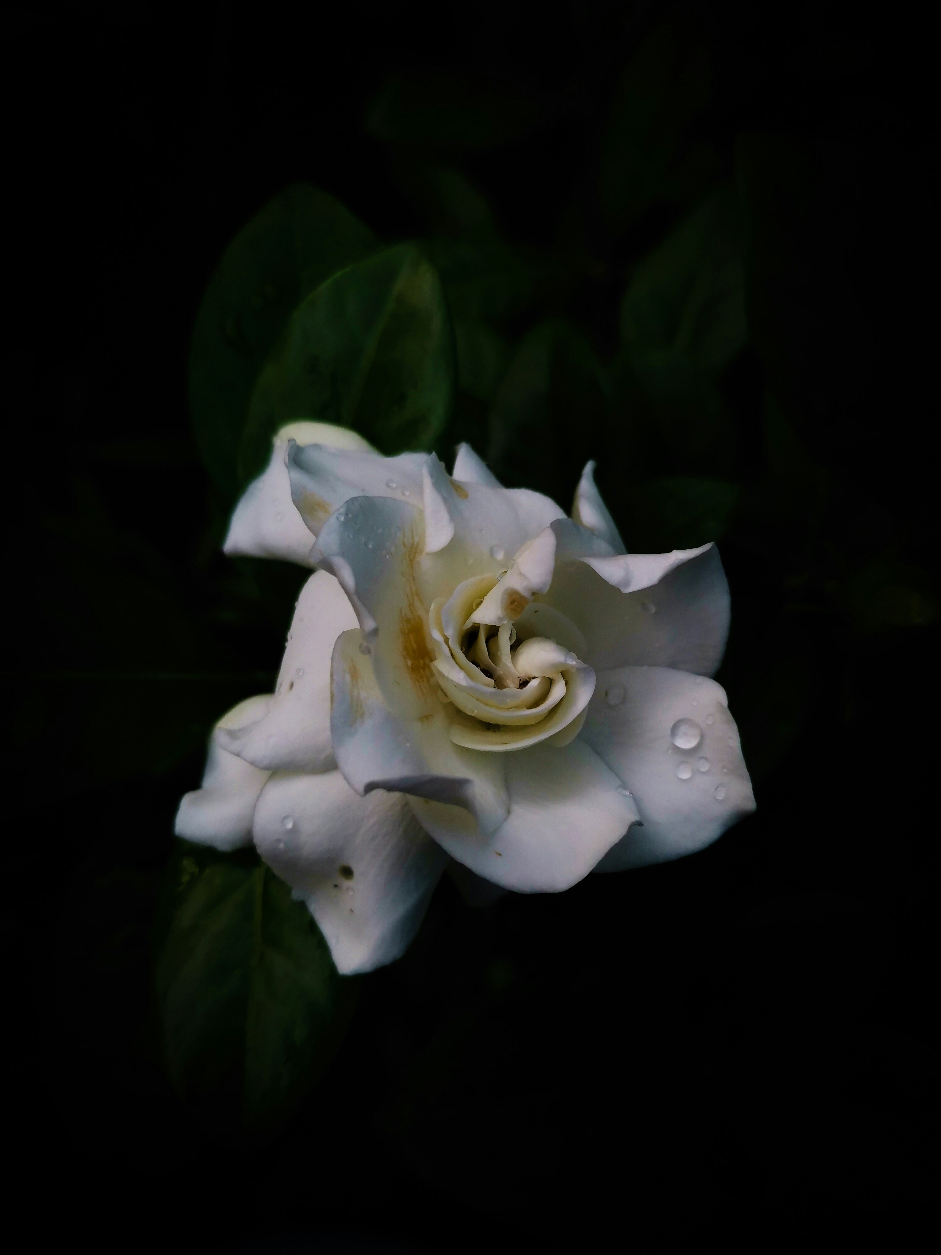 Photo by tharu_ksh14