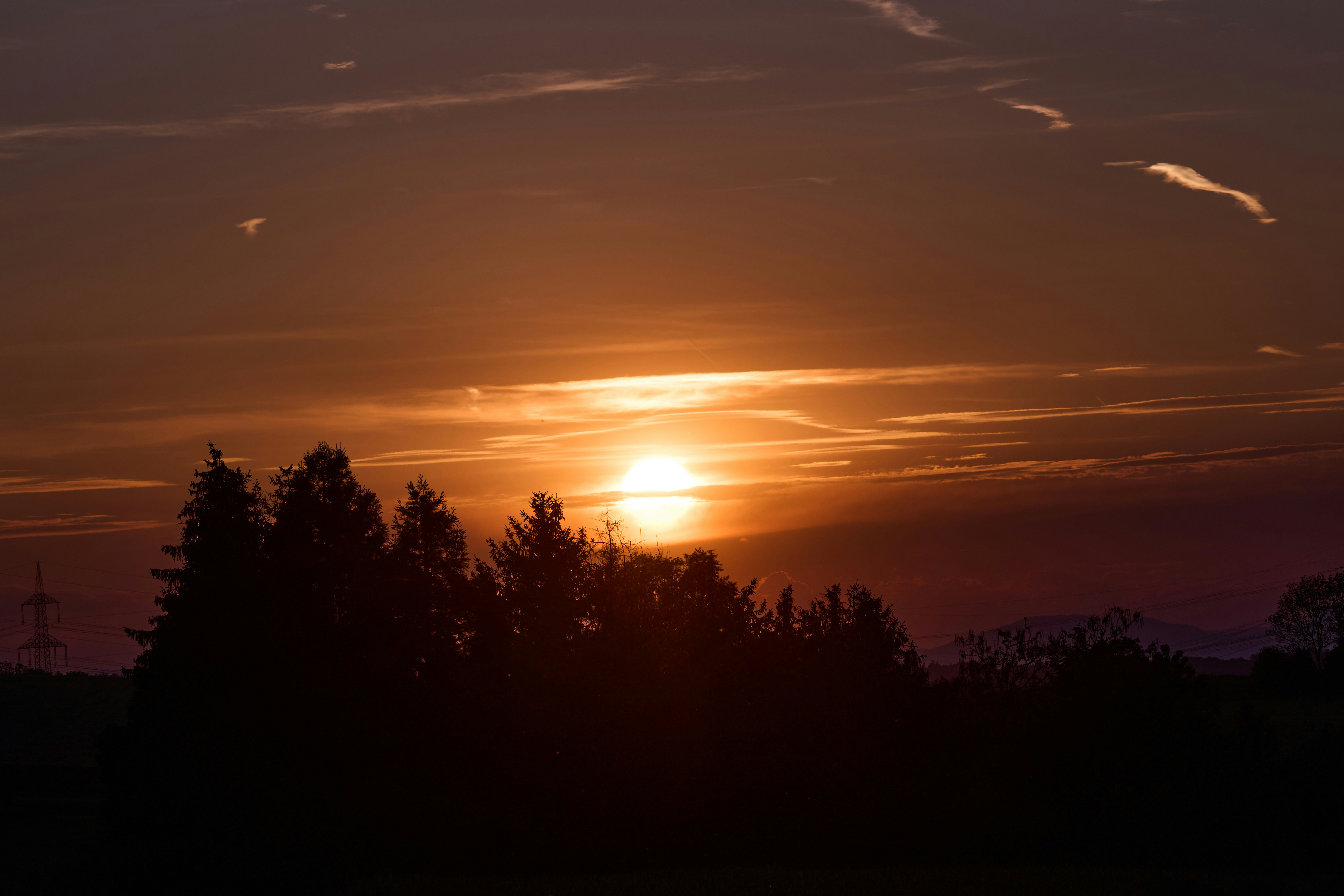 Photo by wolfgang_hasselmann