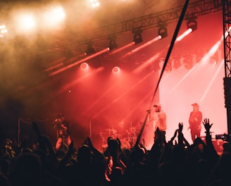 A vibrant photo of wunmi performing live on stage, bathed in warm spotlight with an enthusiastic crowd in the background.