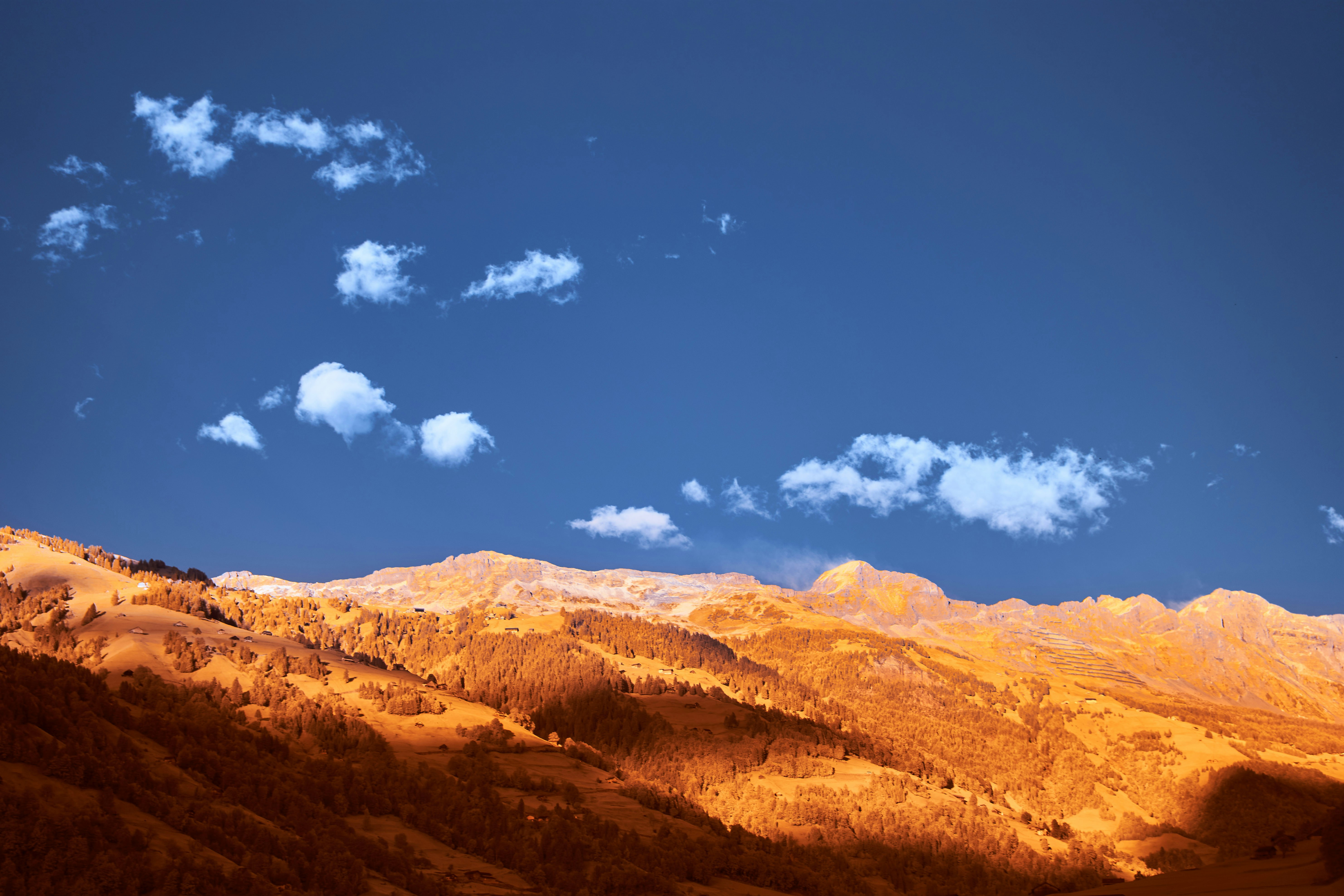 Photo by wolfgang_hasselmann