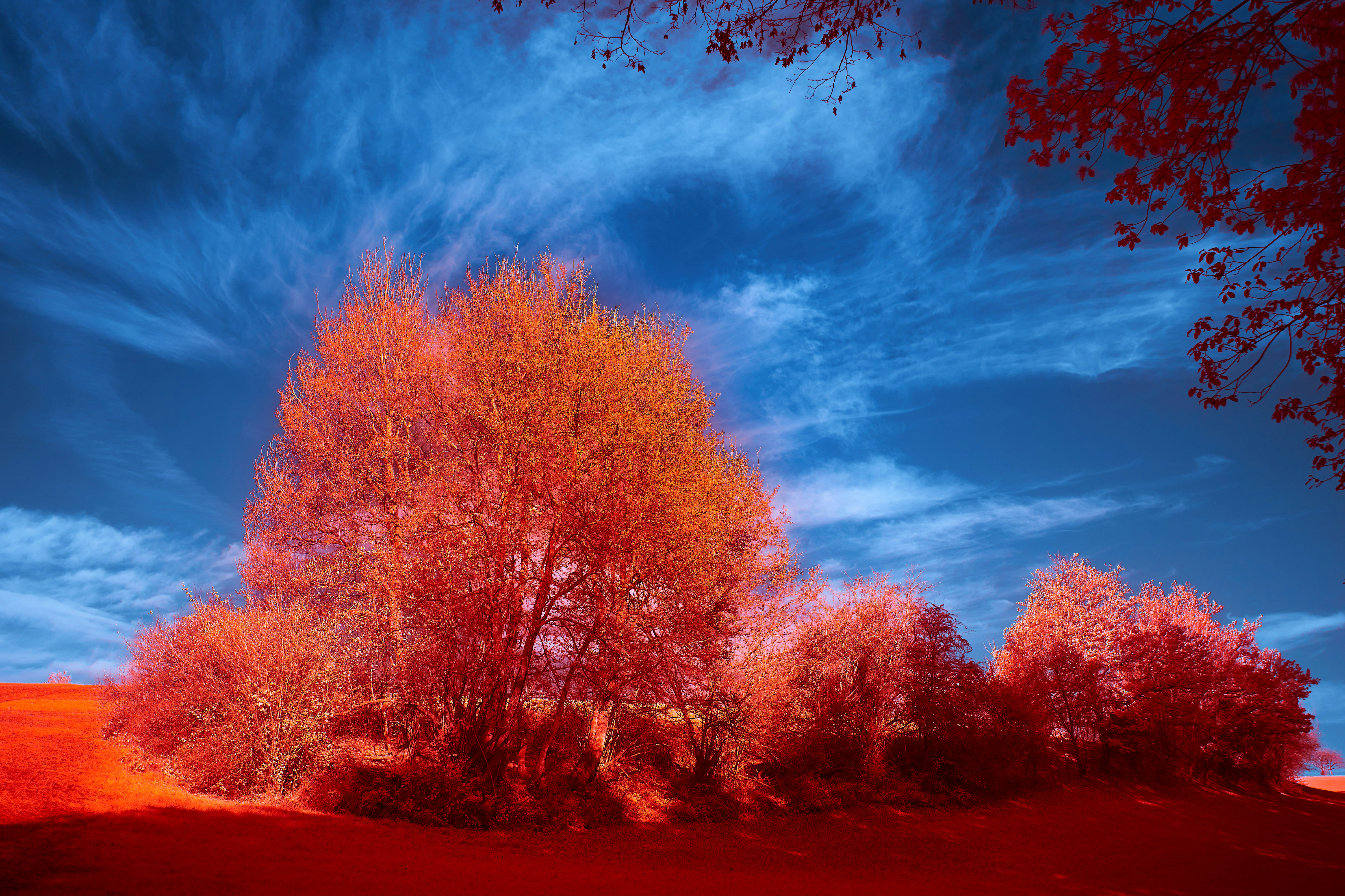 Photo by wolfgang_hasselmann