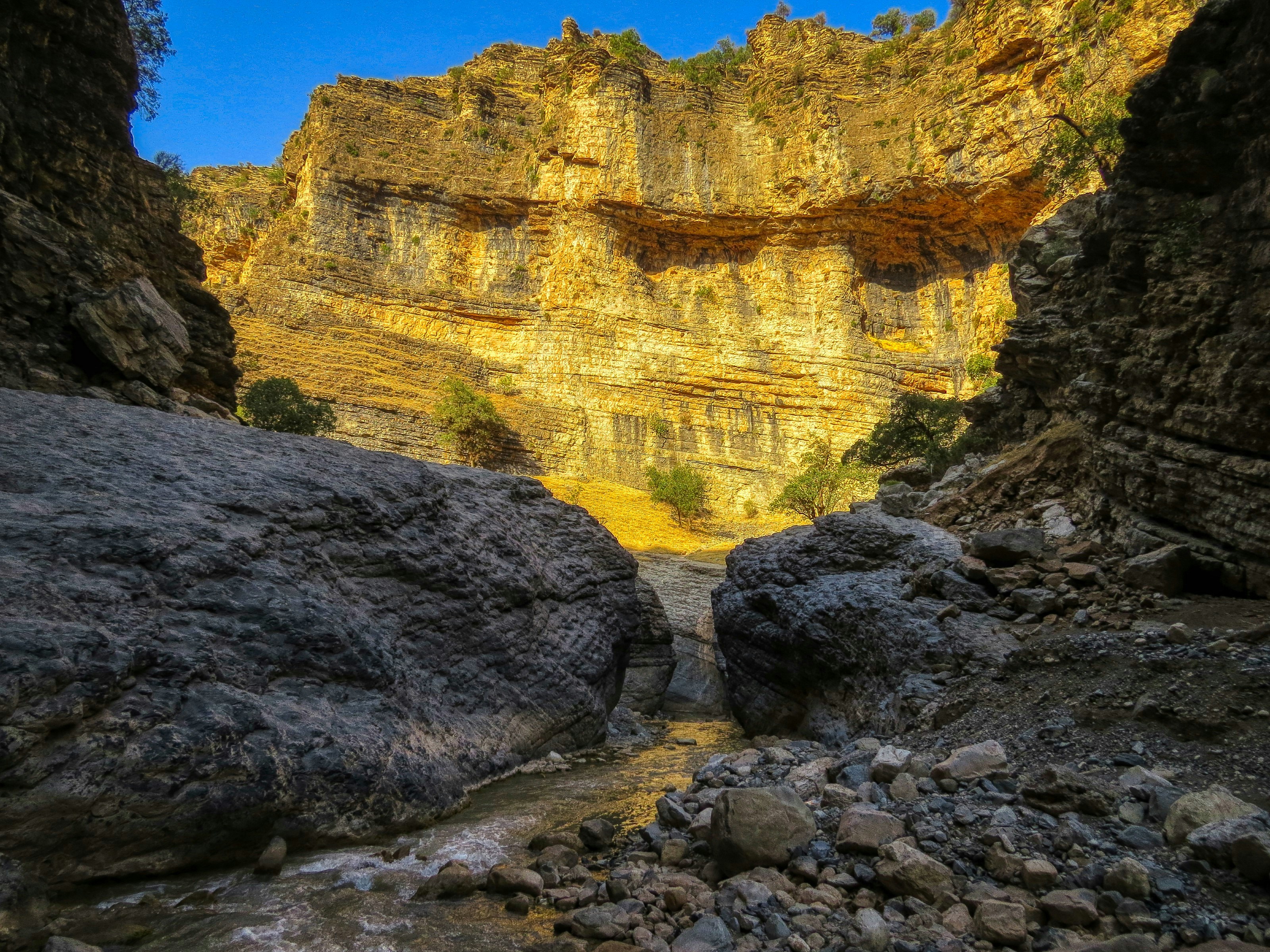 Photo by aliarjmandi