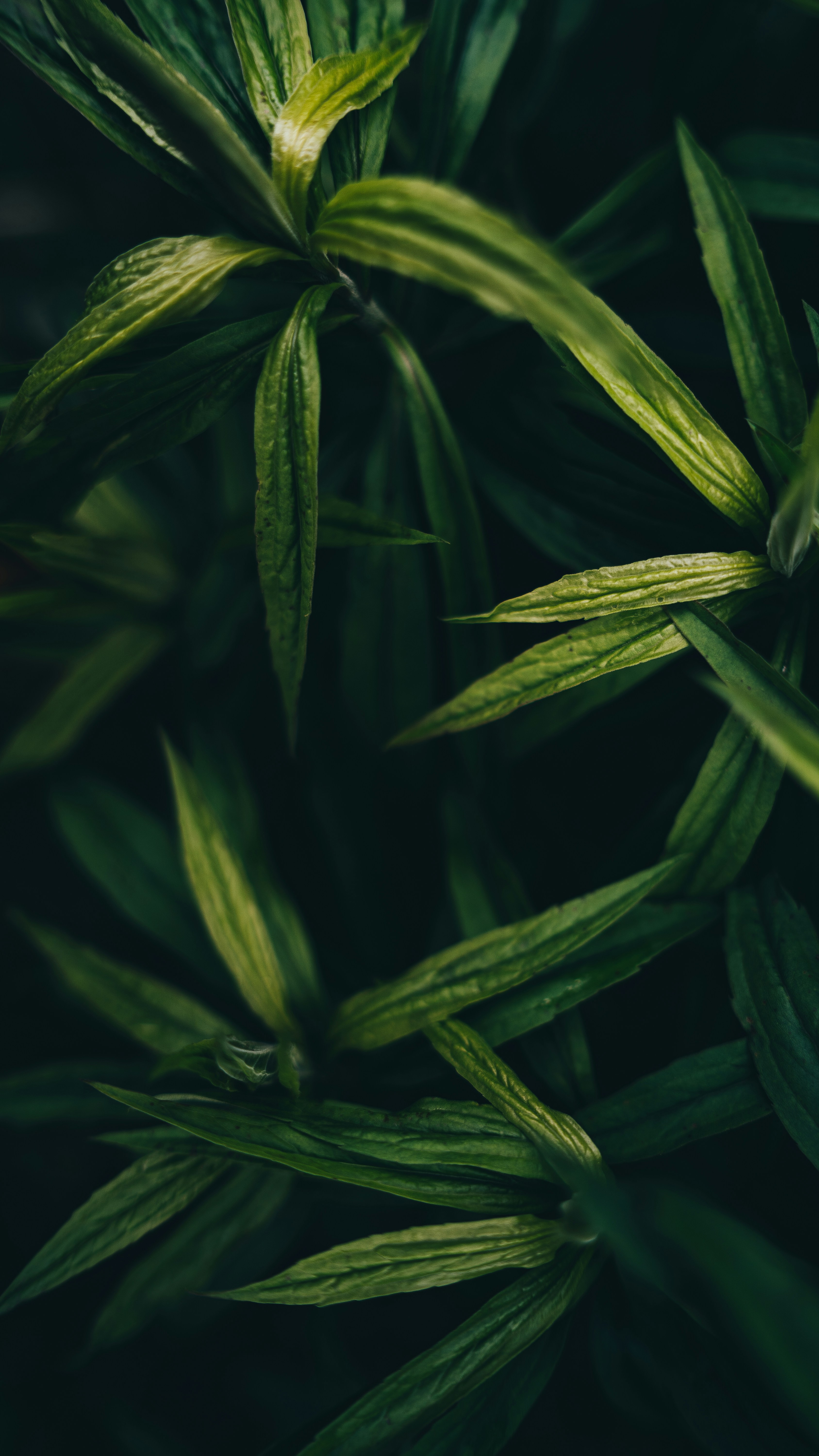 Photo by khodzinskyi