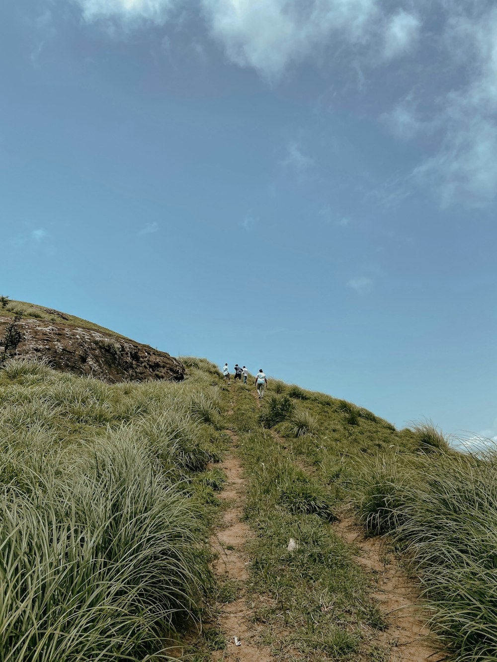 a dirt path going up a grassy hill