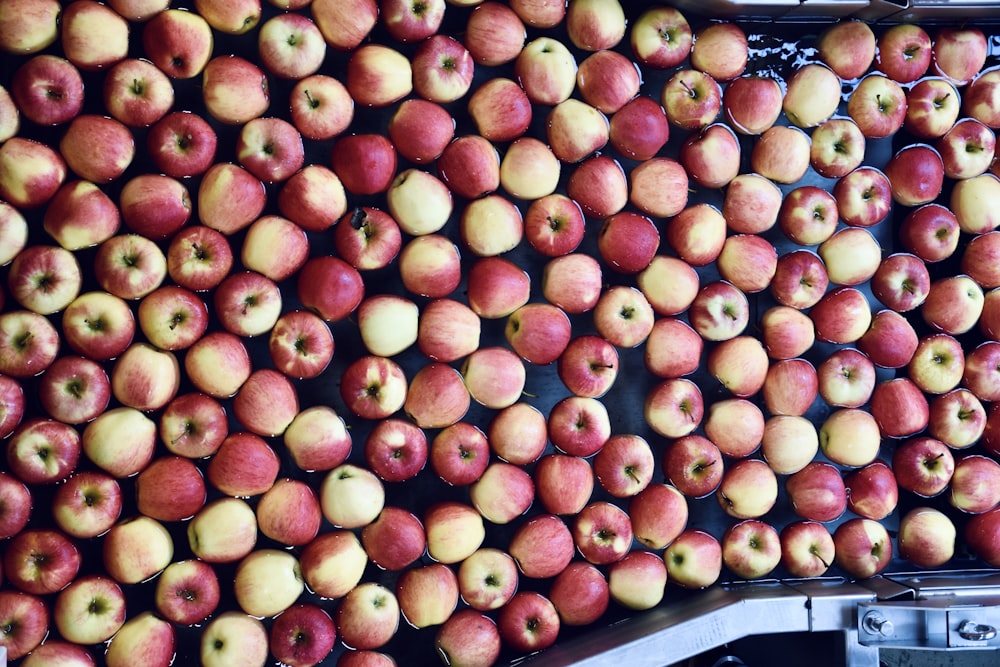 a large amount of red and yellow apples