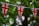 a british flag bunting on a tree line