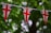 a british flag bunting on a tree line