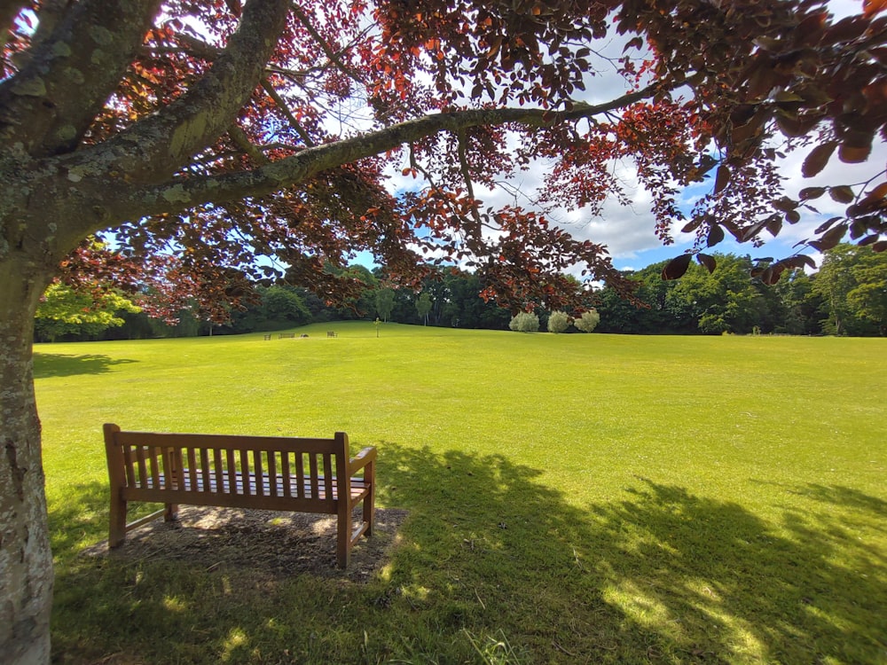a wooden bench sitting in the middle of a lush green field