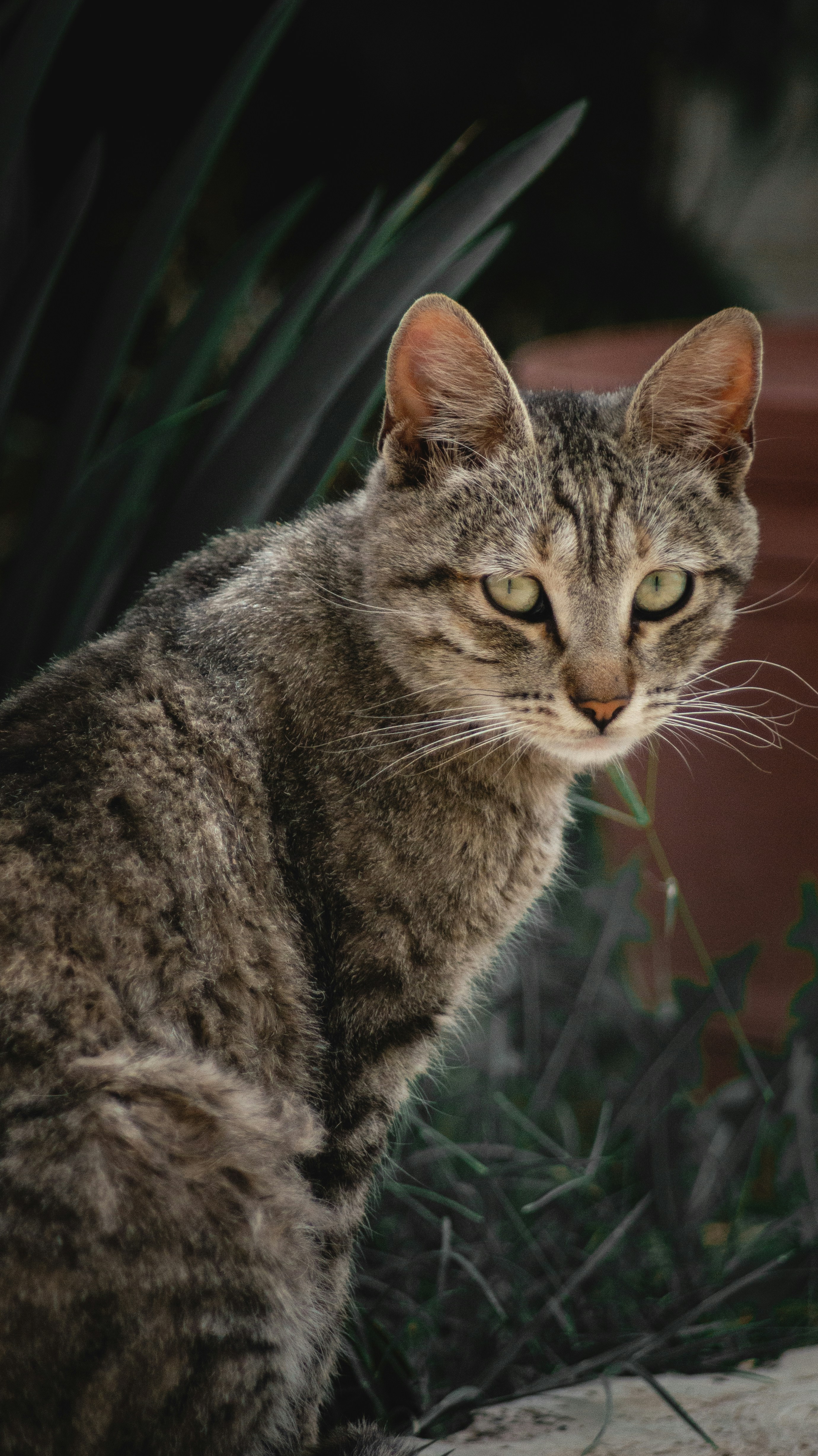 Photo by edwincrod93