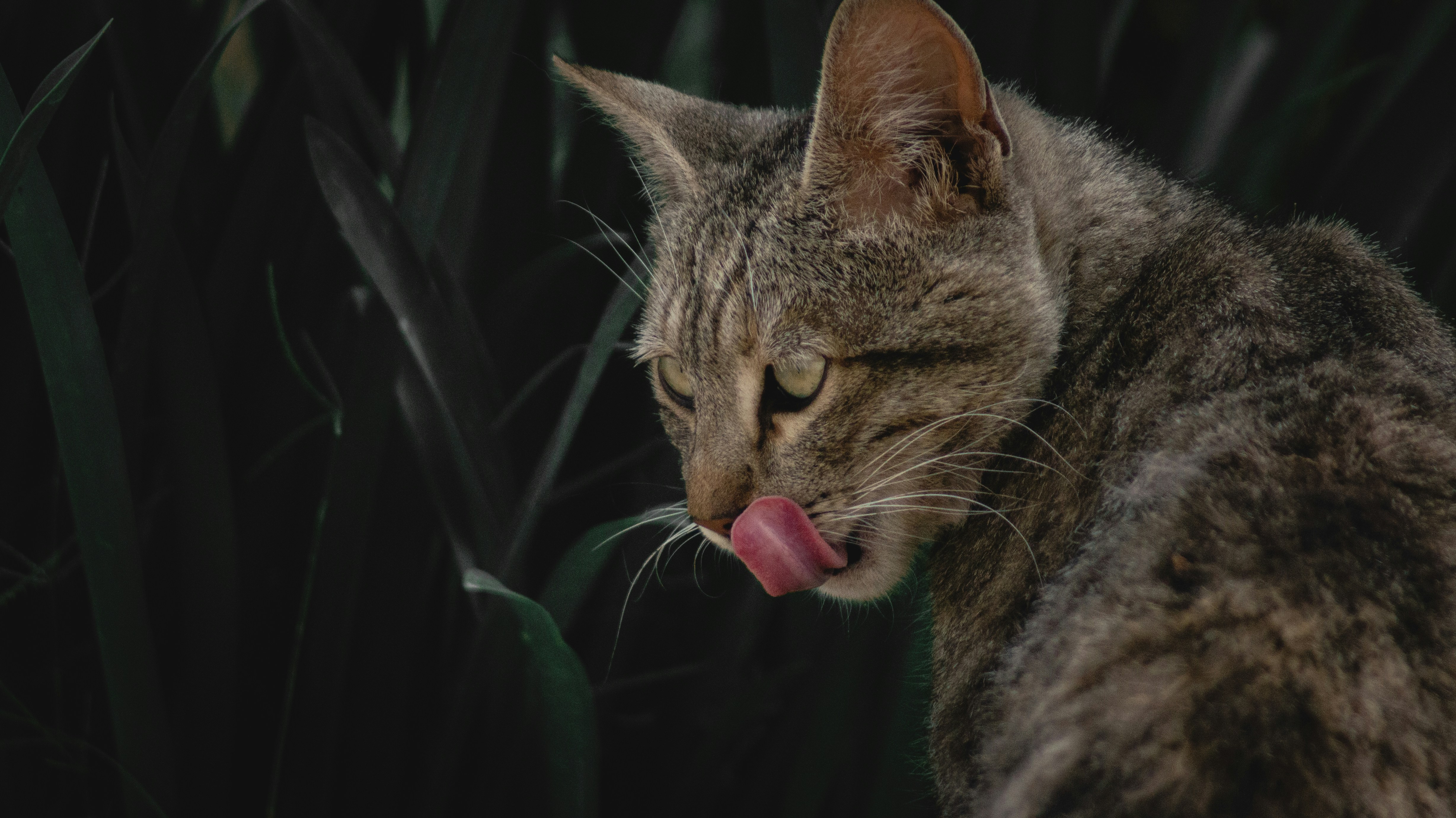 Photo by edwincrod93