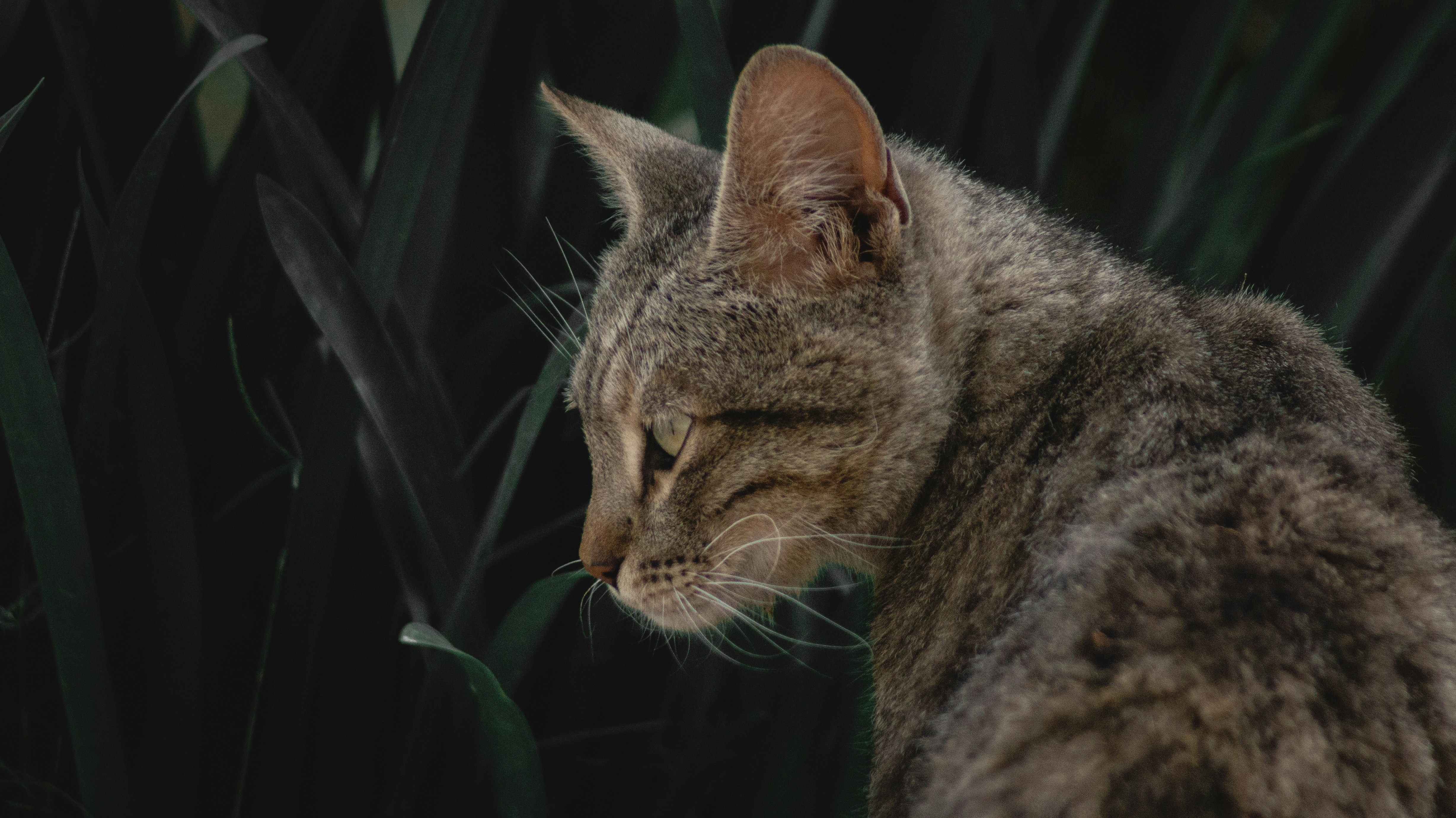 Photo by edwincrod93