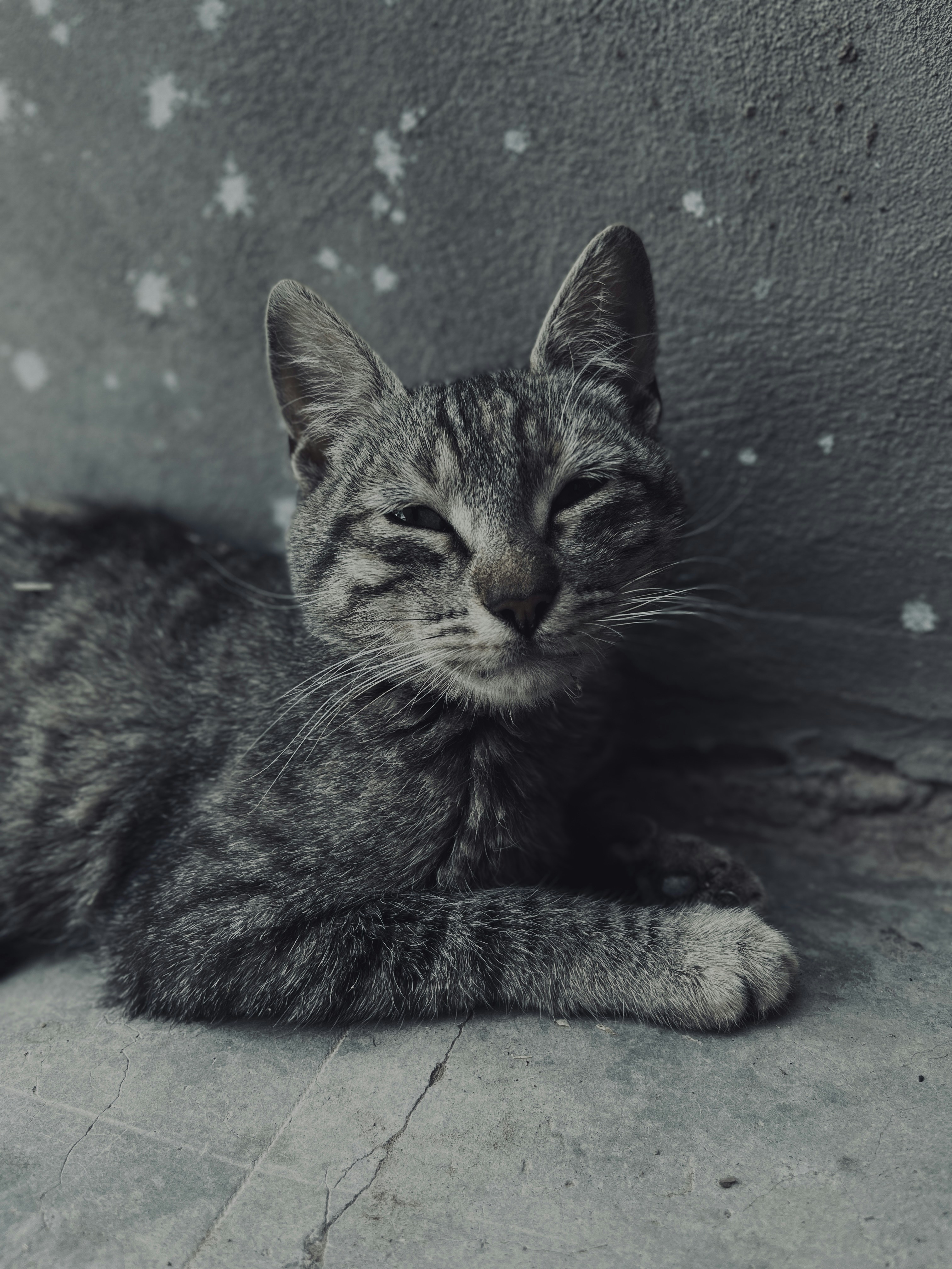 Photo by edwincrod93