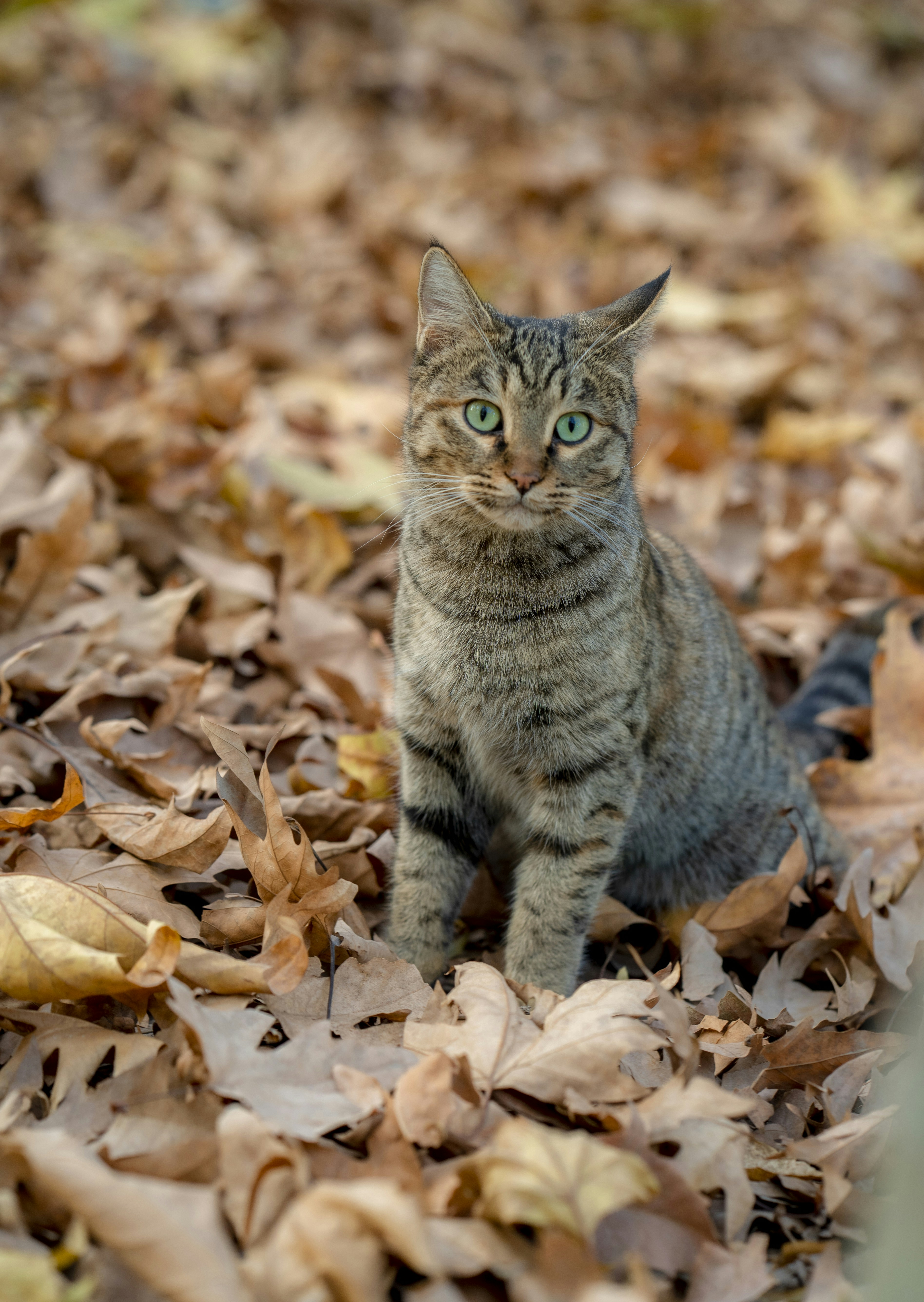 Photo by akbarnemati