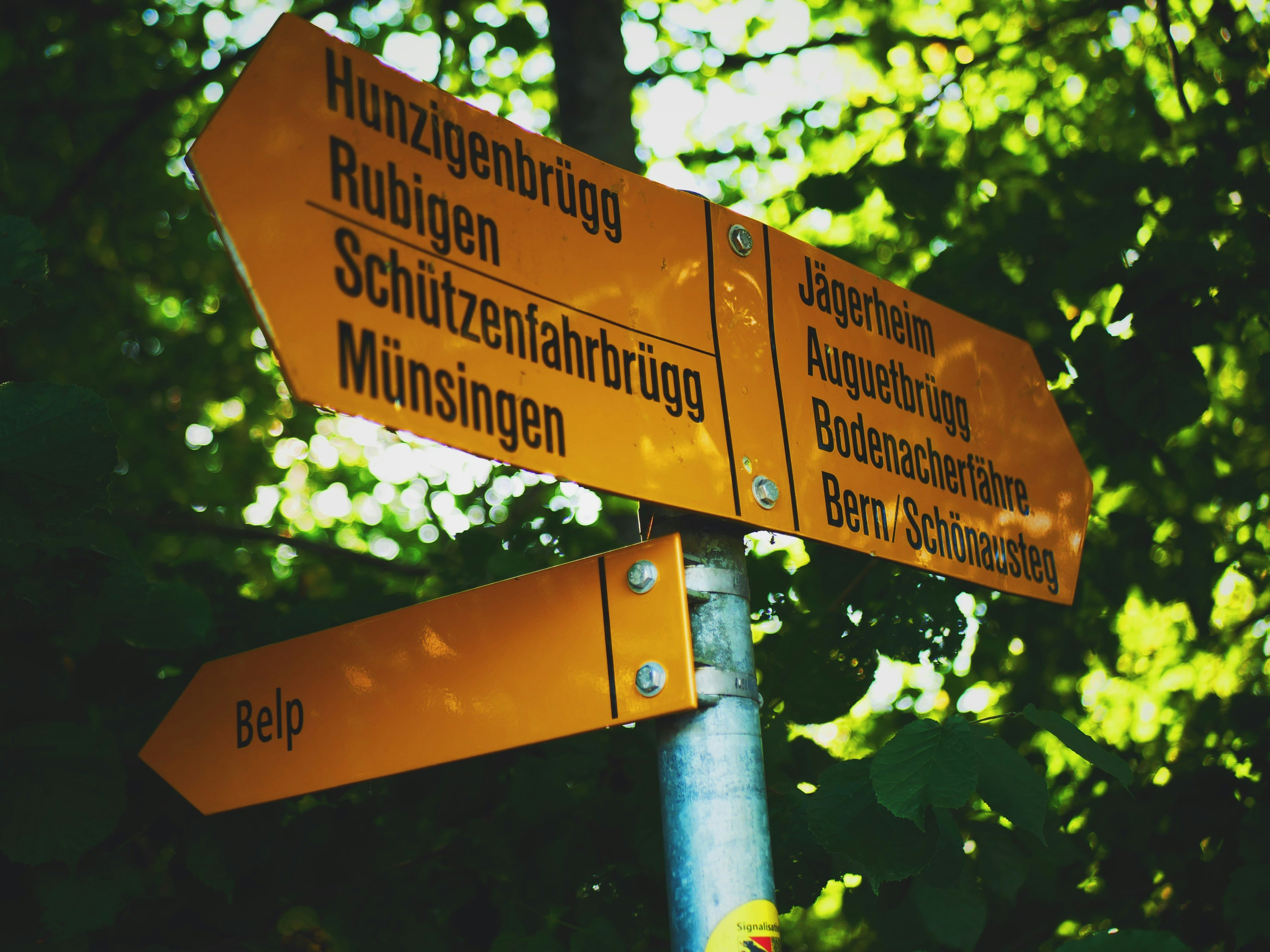 Swiss forest signs, ladies and gentlemen.
