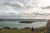 A serene lakeside landscape featuring several houses surrounded by greenery and a vineyard in the foreground. The lake is calm with a small island at its center and bordered by hills under an expansive sky filled with scattered clouds.