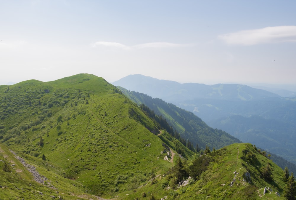 a green mountain with a trail going up the side of it