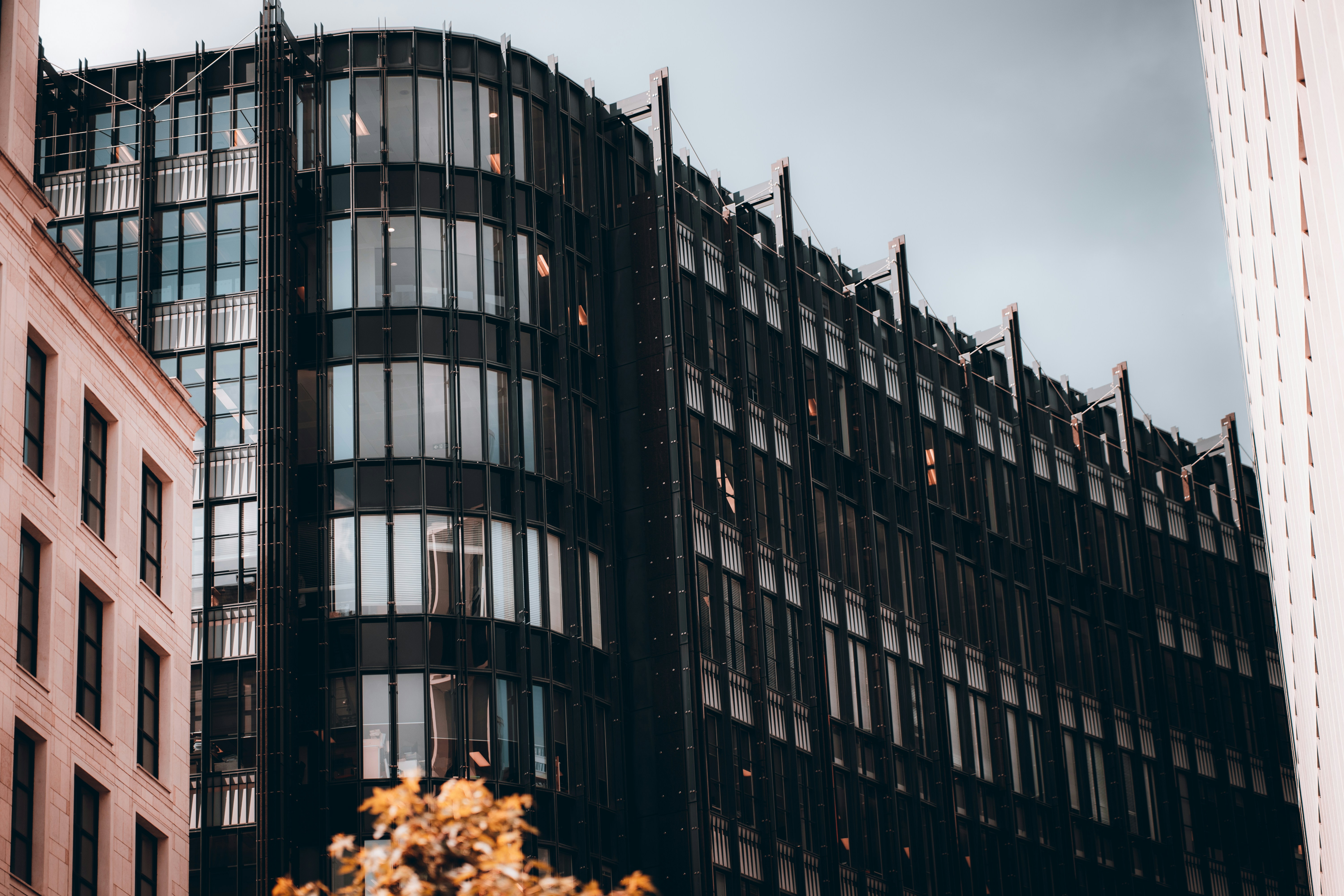 Decentralized network of connected photo storage nodes - Photo by Szymon Shields on Unsplash