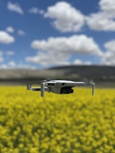 A drone hovers in the foreground over a vibrant yellow field, likely composed of flowering plants. In the background, a blue sky with scattered white clouds stretches above distant hills or mountains.