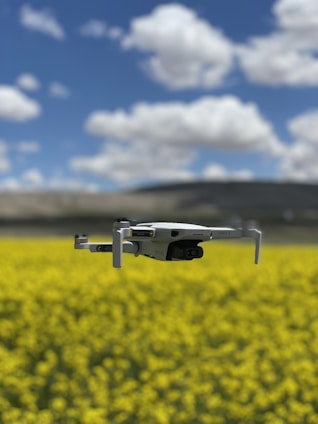 A drone hovers in the foreground over a vibrant yellow field, likely composed of flowering plants. In the background, a blue sky with scattered white clouds stretches above distant hills or mountains.