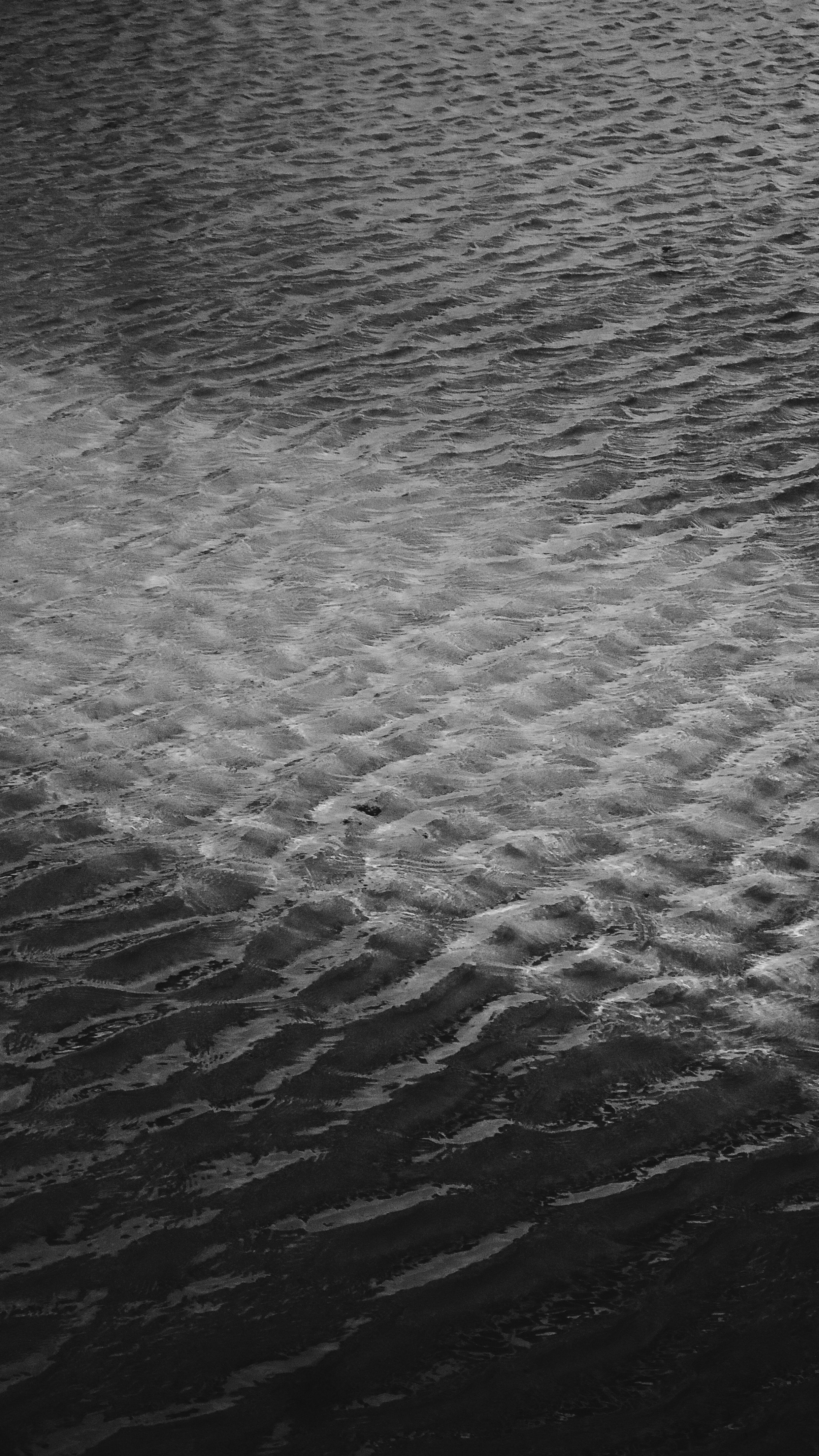 Photo by frandreotti