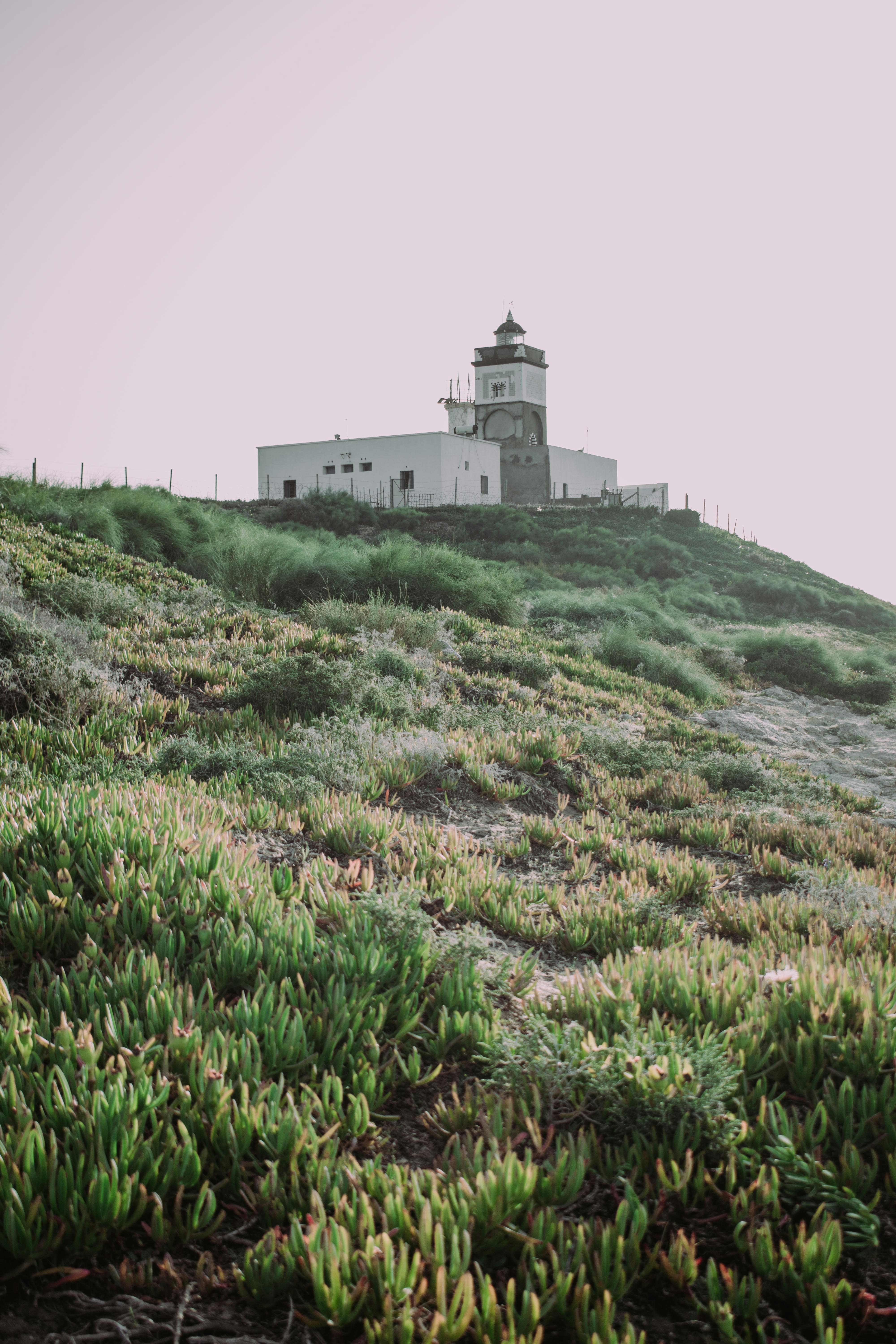 Photo by bilal_ayadi