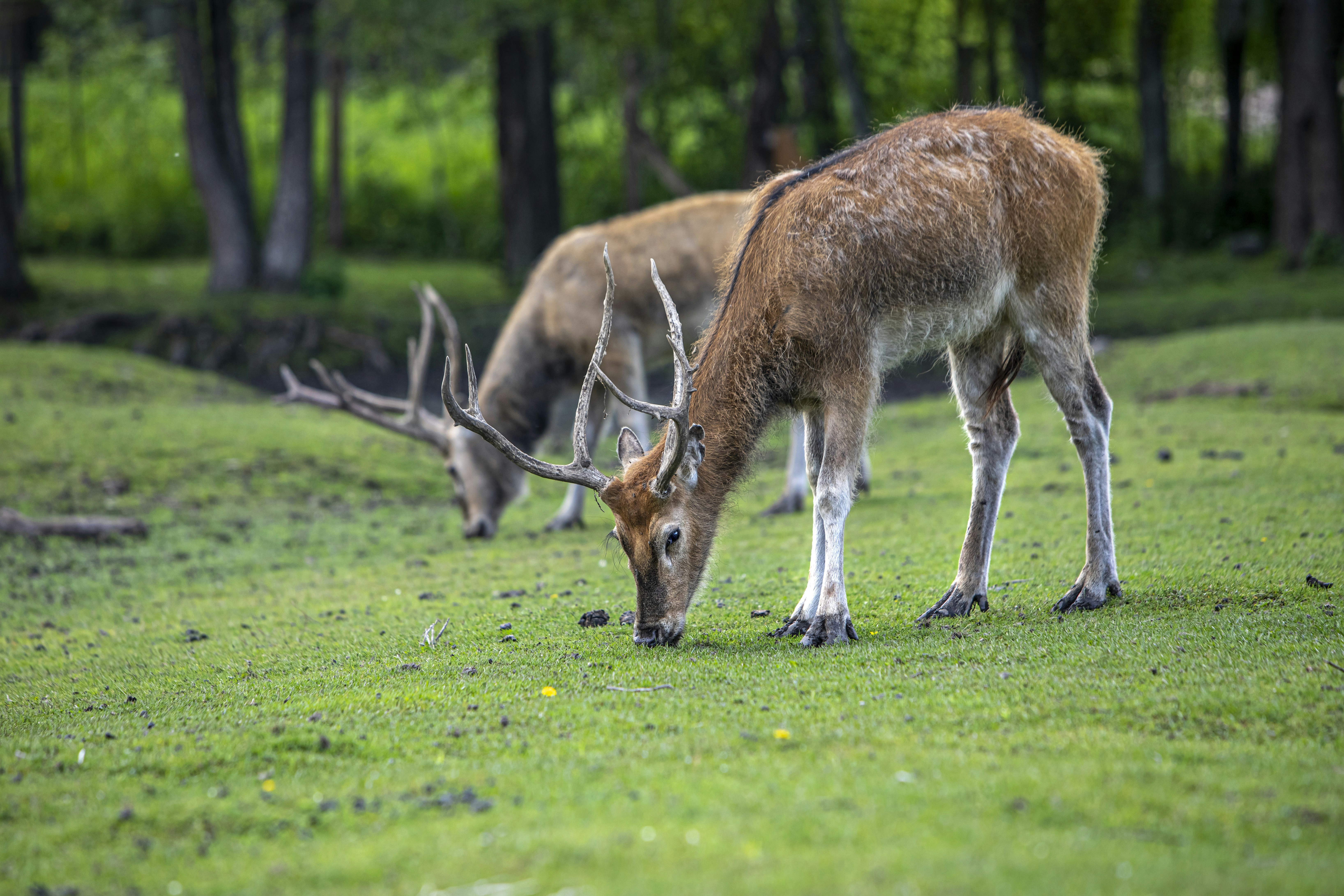 Photo by erik_karits