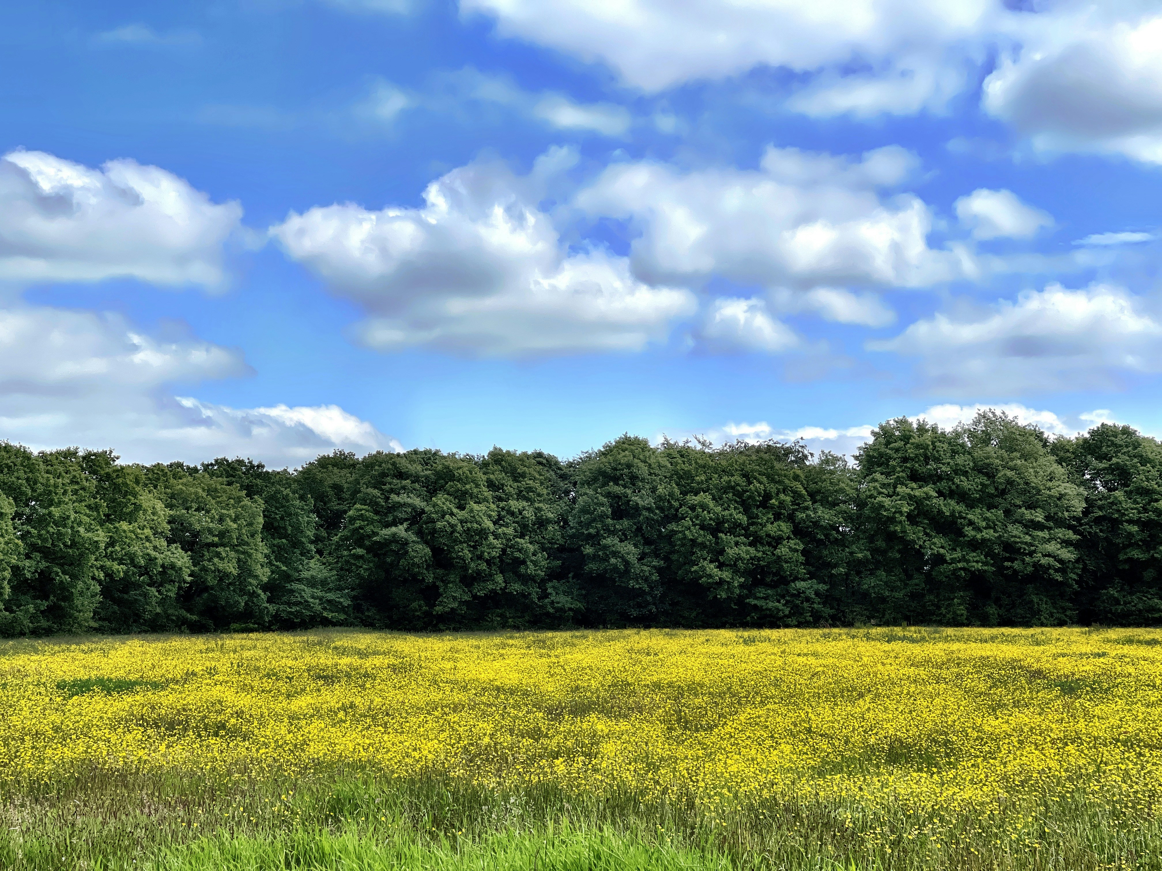 Photo by bill_eccles