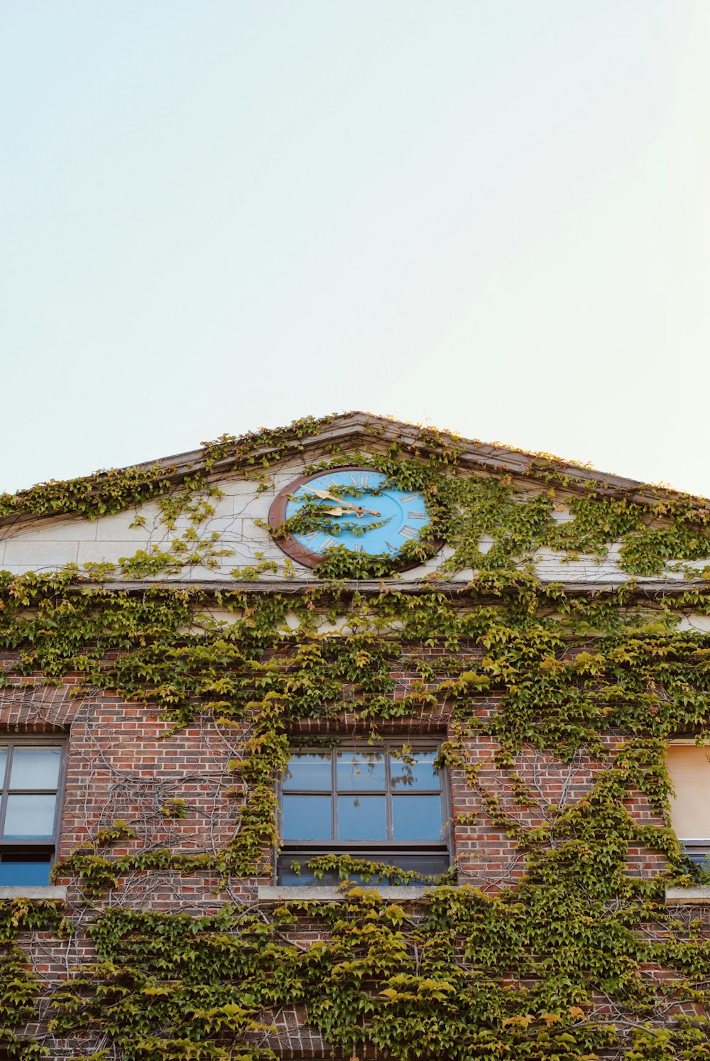 a building with ivy growing on the side of it
