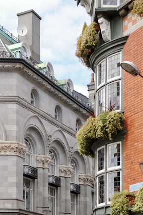 An architectural scene featuring a classic stone building with ornate arches and decorative balustrades. Adjacent is a brick building with bay windows and plants draping from window ledges. A satellite dish and a streetlamp are visible against a backdrop of a partly cloudy sky.
