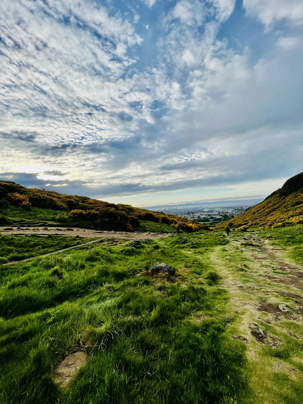 a grassy field with a dirt path in the middle of it